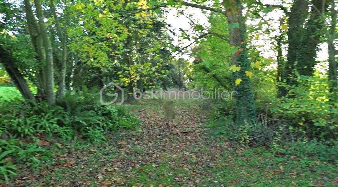 Maison longere de 261 m² - menhir.jpg