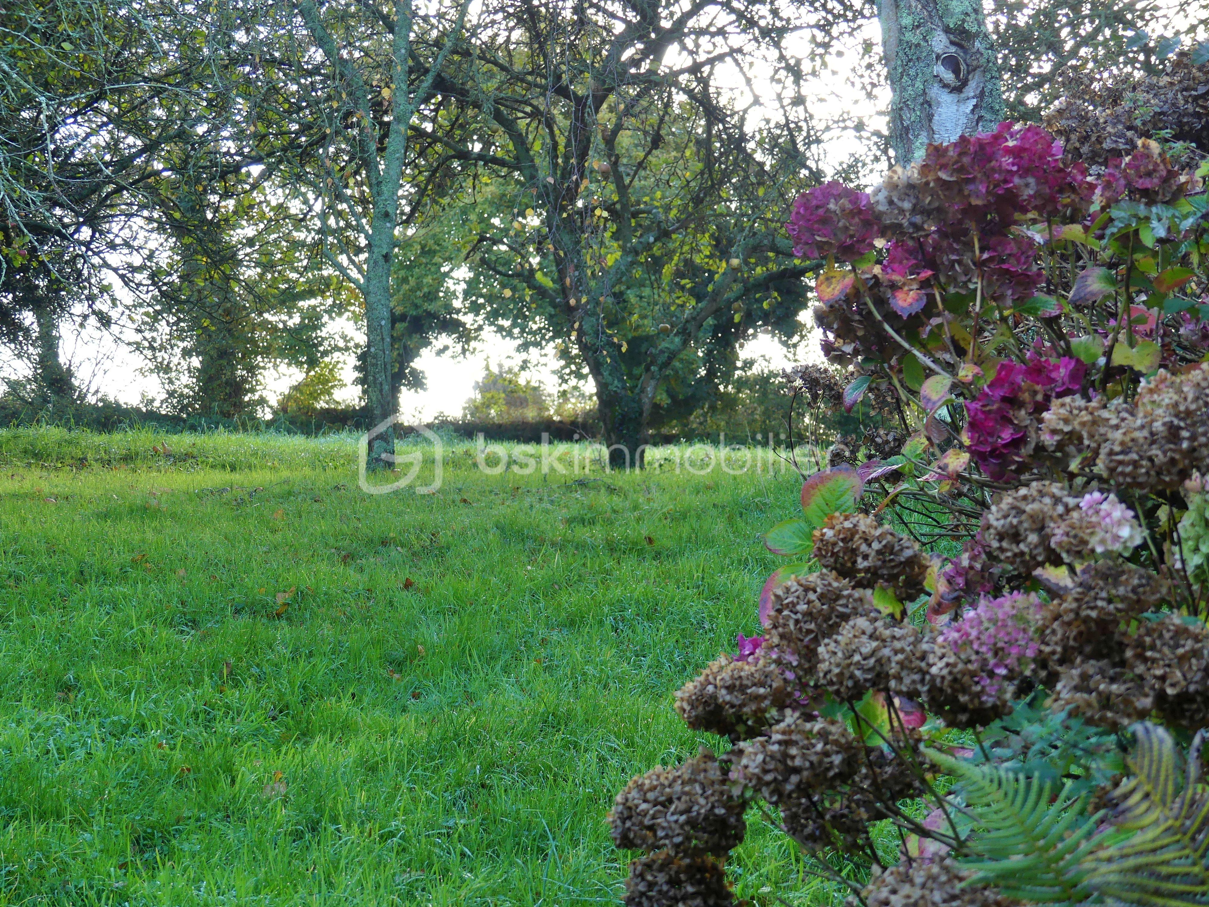 Maison longere de 261 m² - verger 2.JPG