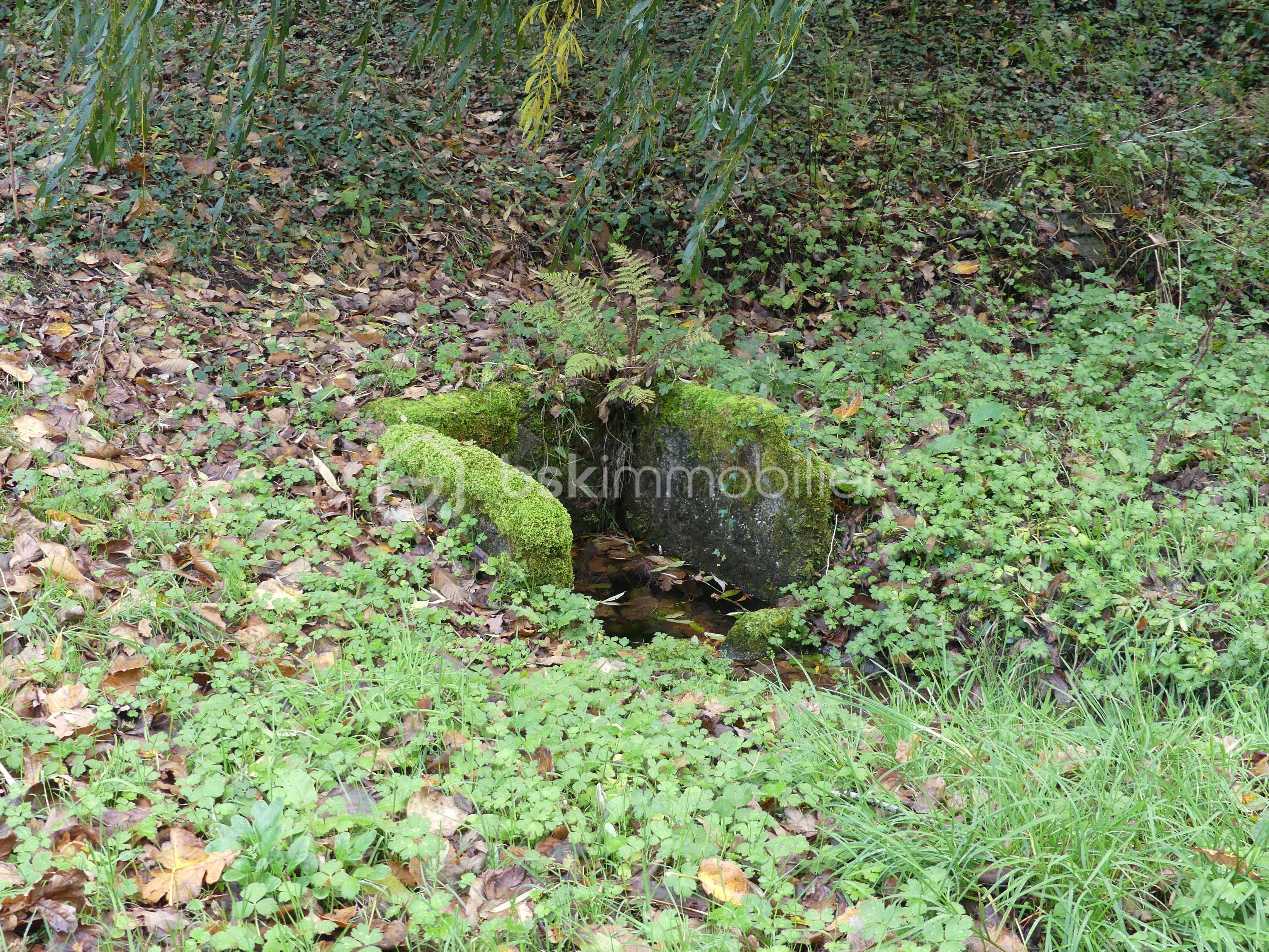 Maison longere de 261 m² - source.JPG