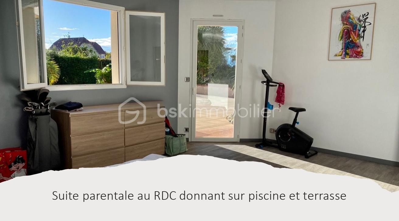 Suite.png