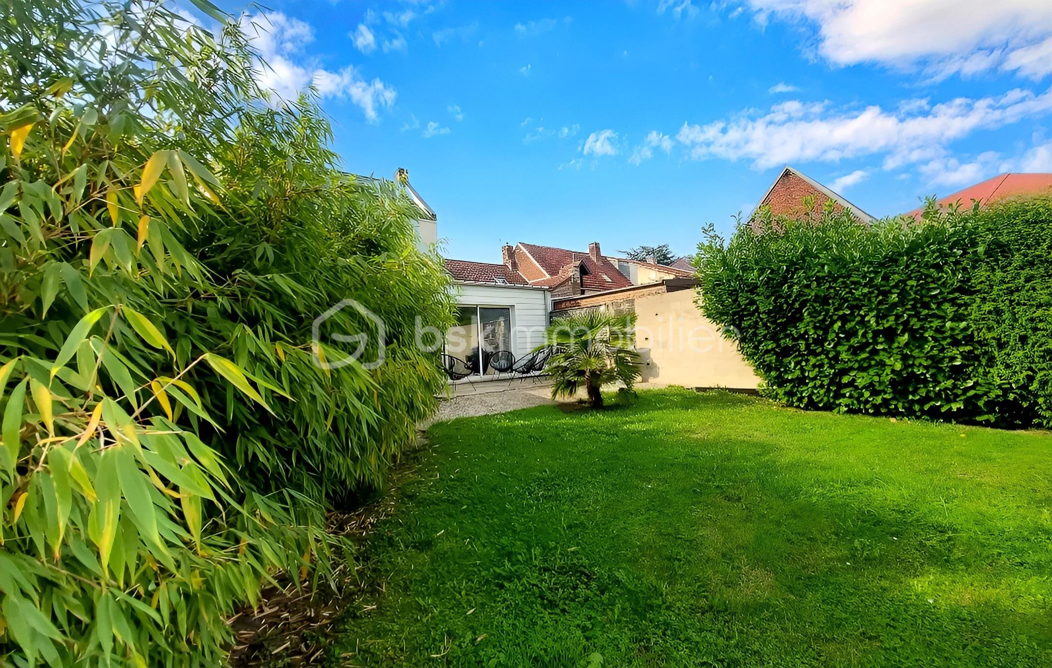 SOUCHEZ IG JARDIN V PALMIER hoto (15).jpg