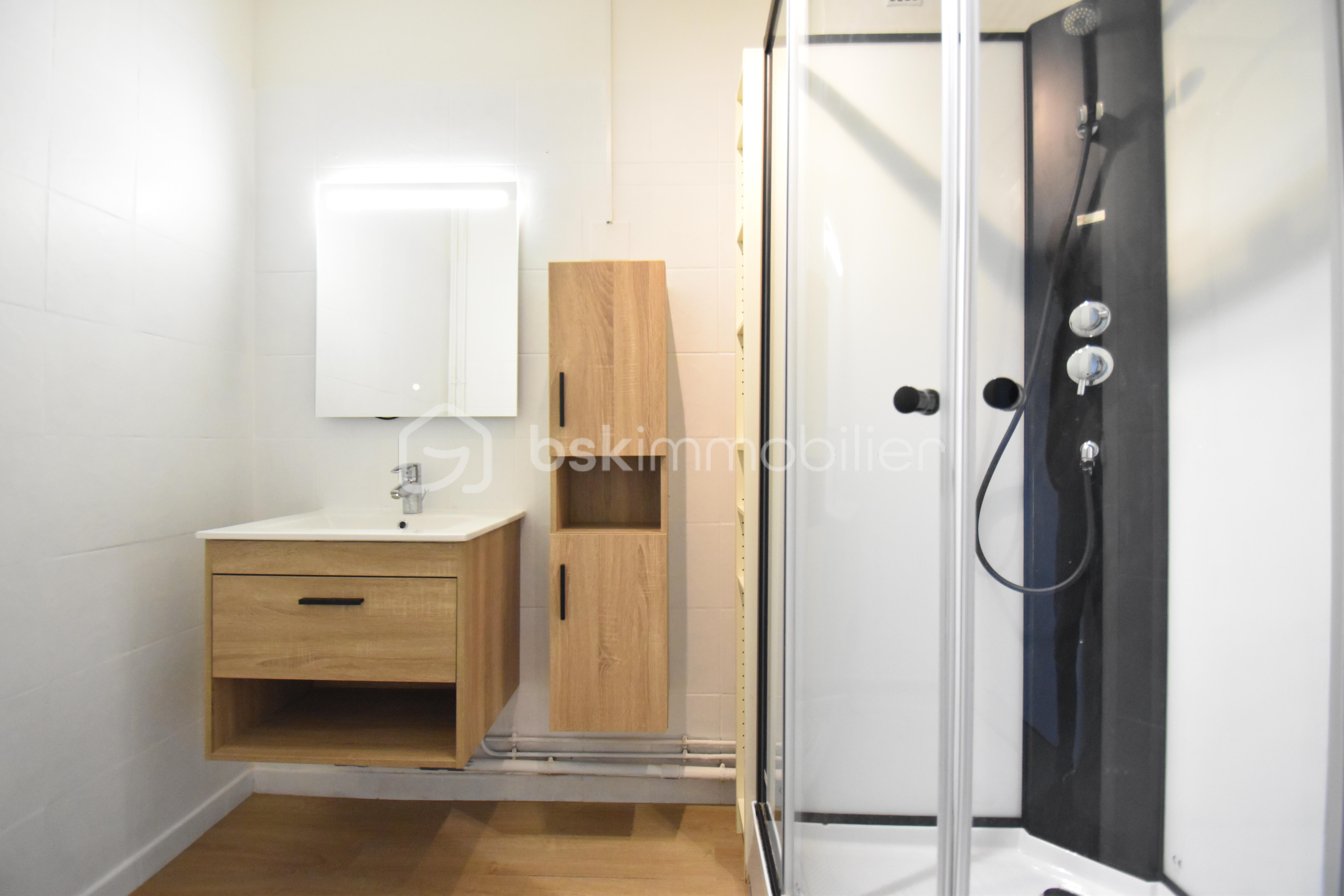 Appartement de 55,35 m² - sdb1.JPG