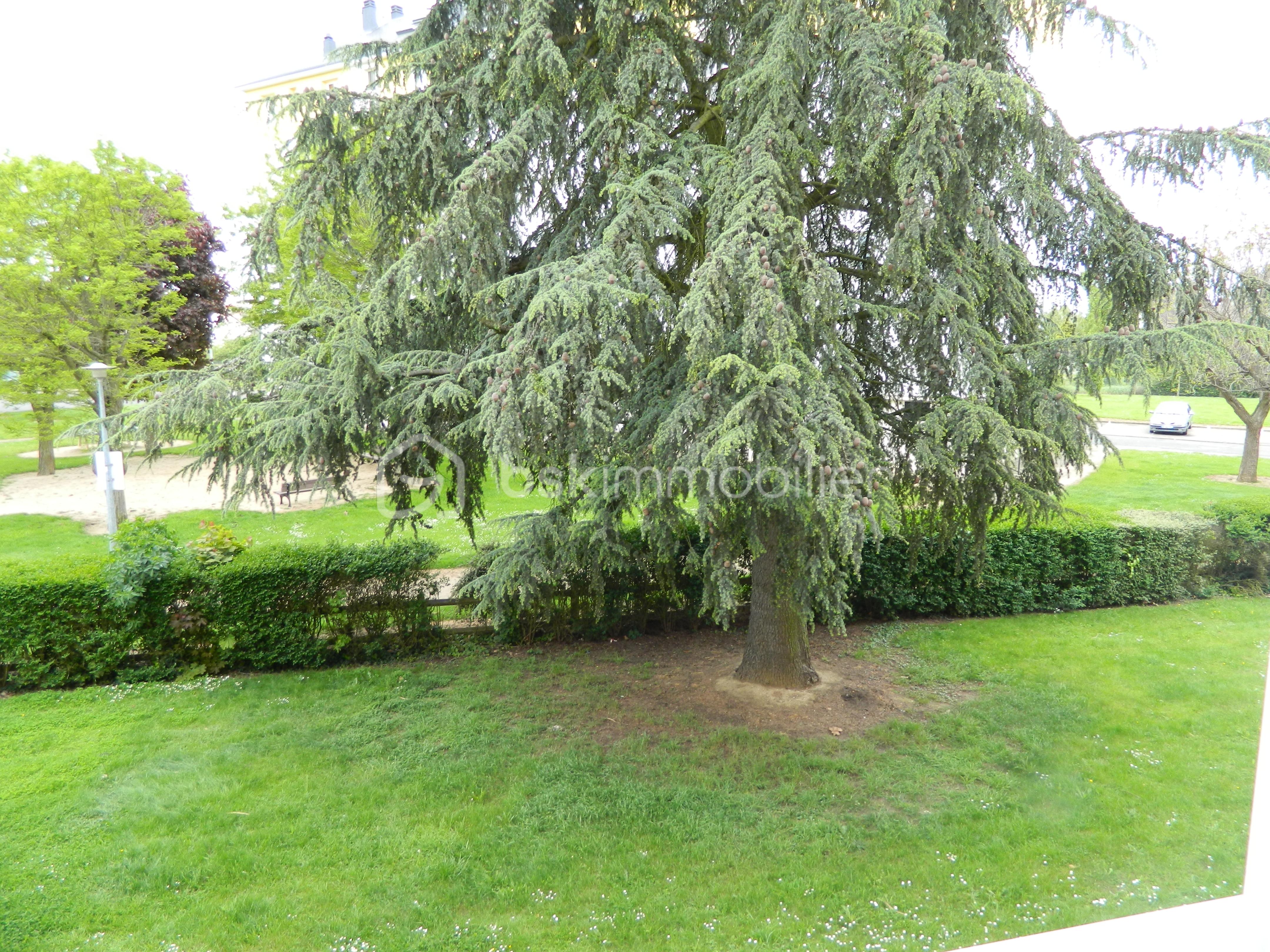 Appartement de 55,35 m² - DSCN1139 (5).JPG