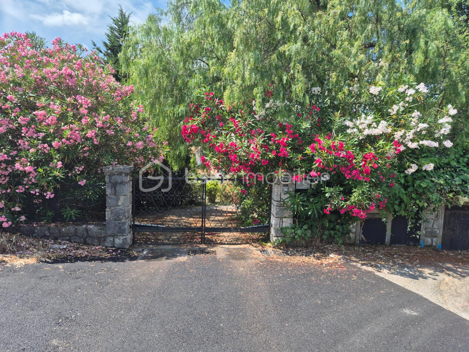 Maison de 140 m² - IMG_7564.JPG