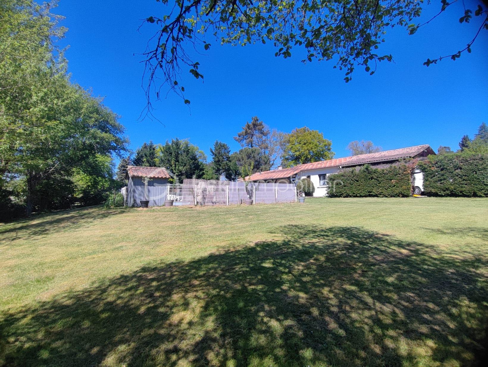 WhatsApp Image 2026-04-09 at 18.11.42(2).jpeg