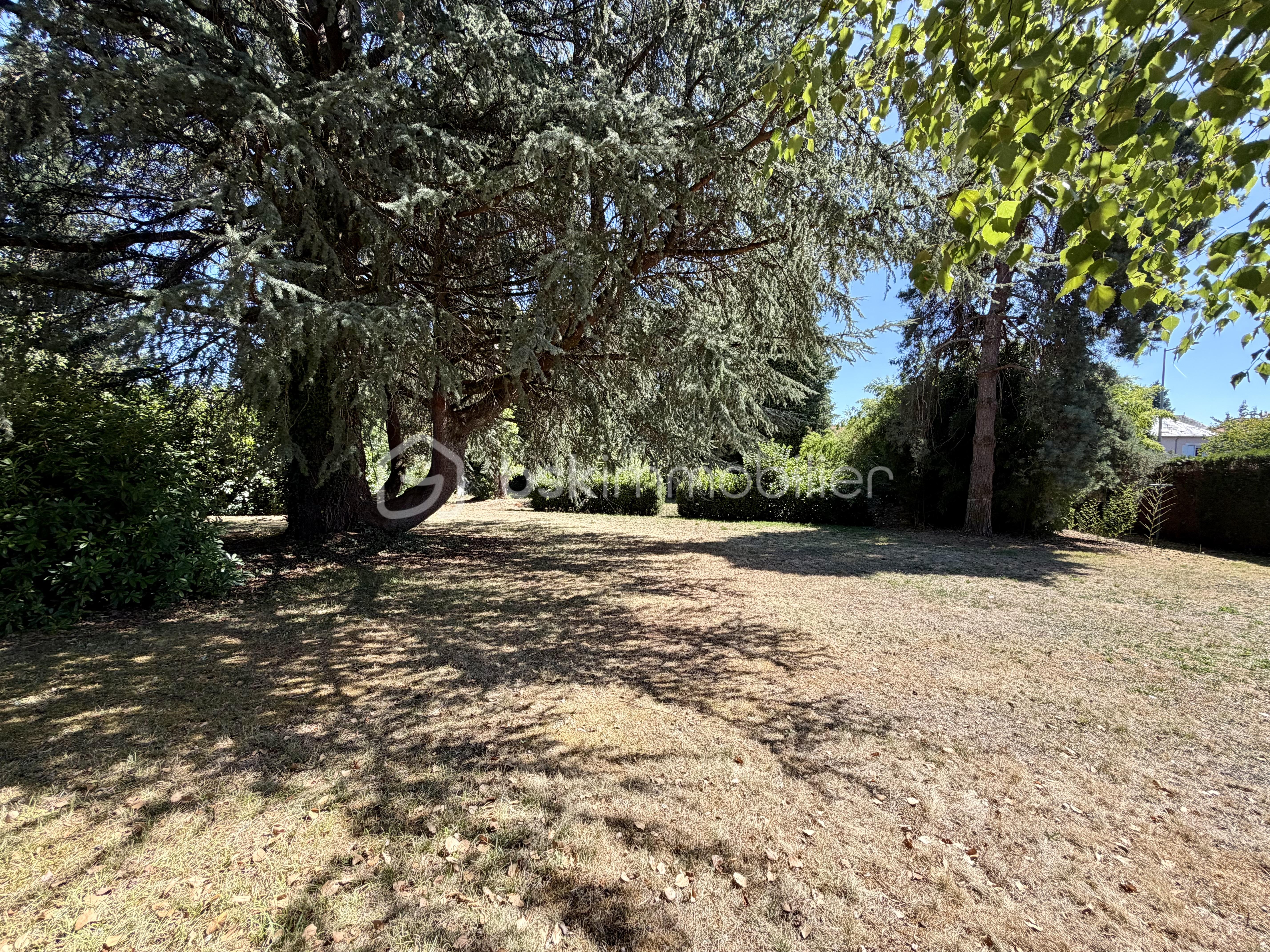 IMG_7242.jpeg