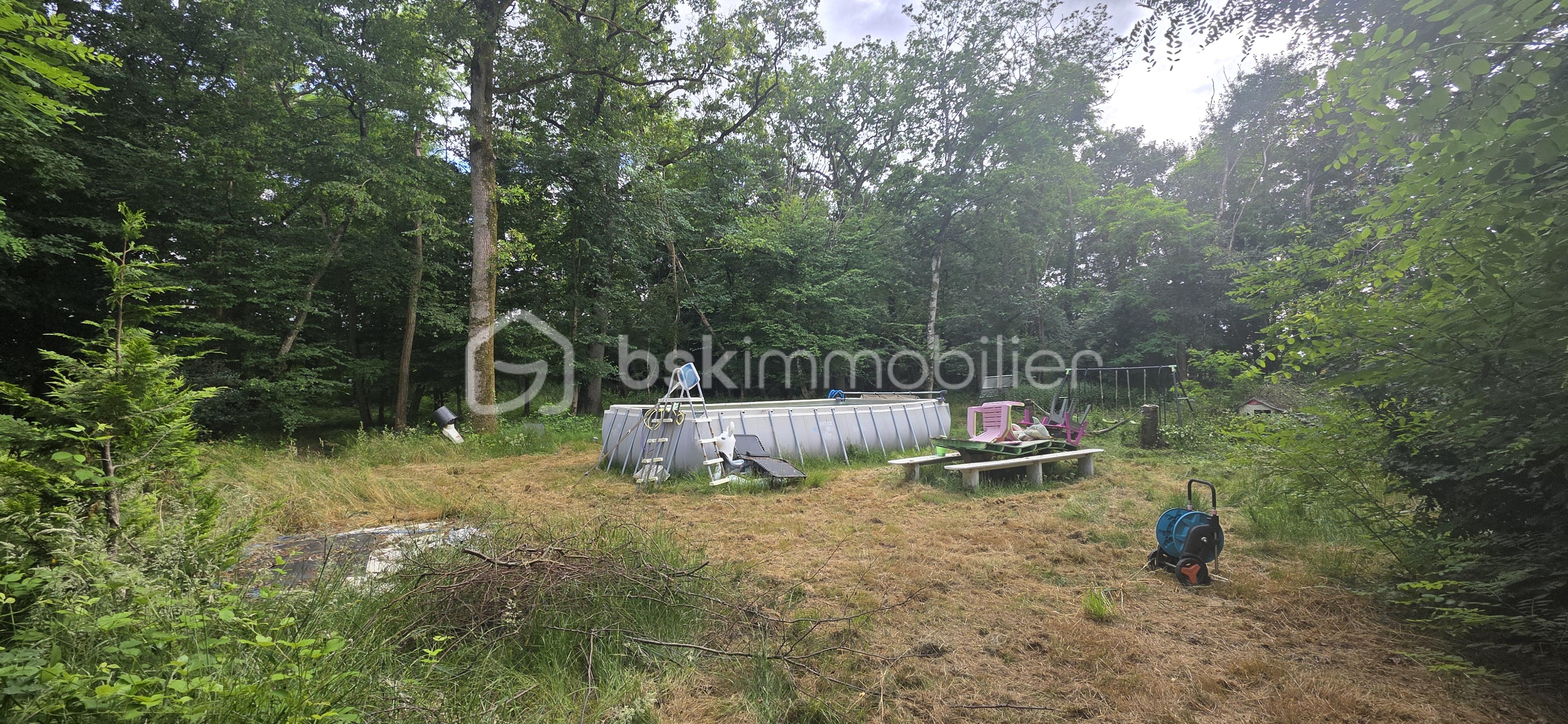 Terrain dans le bois.jpg