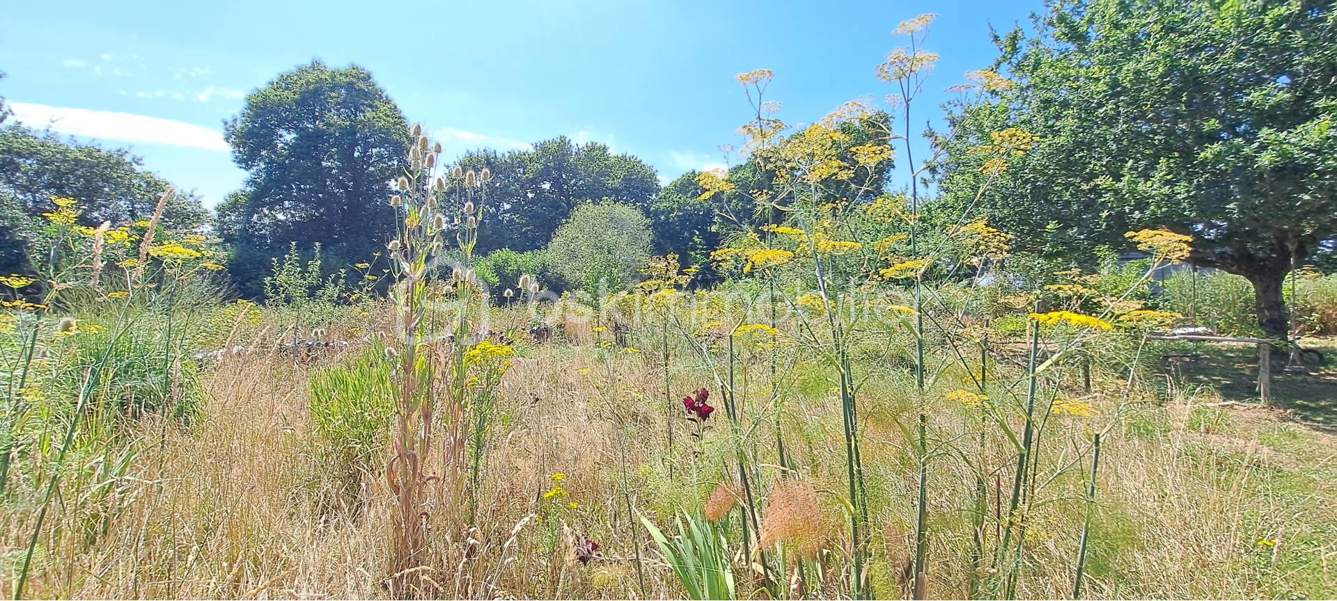 jardin.jpg