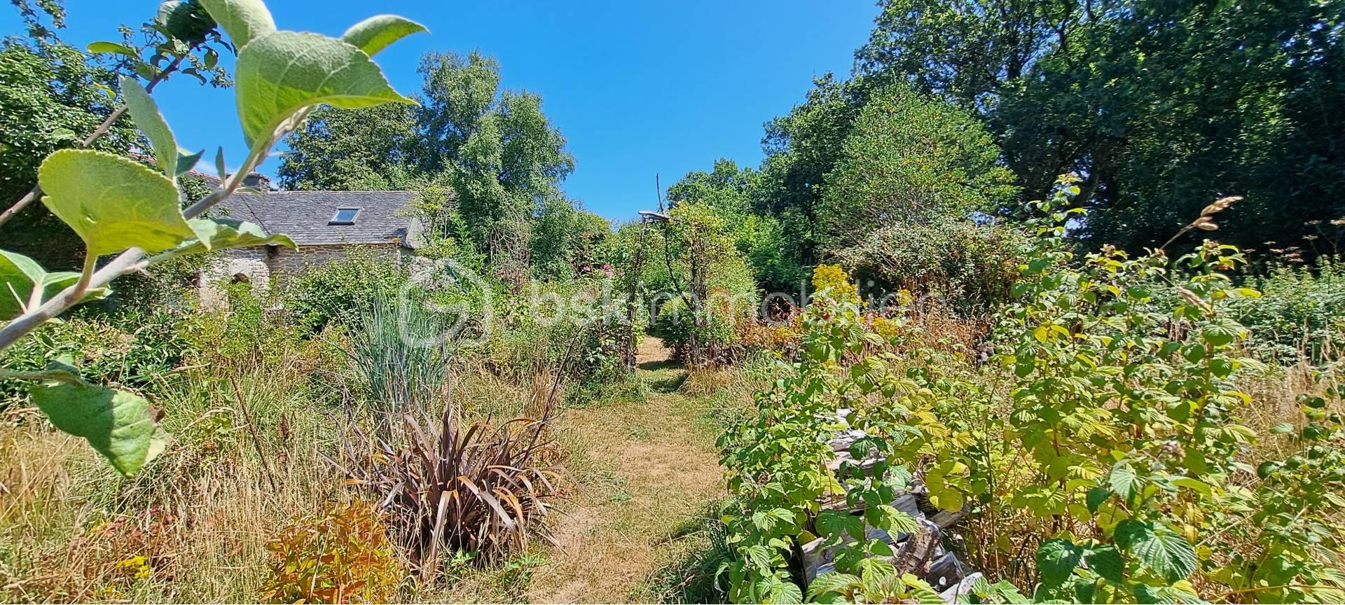 jardin 2.jpg