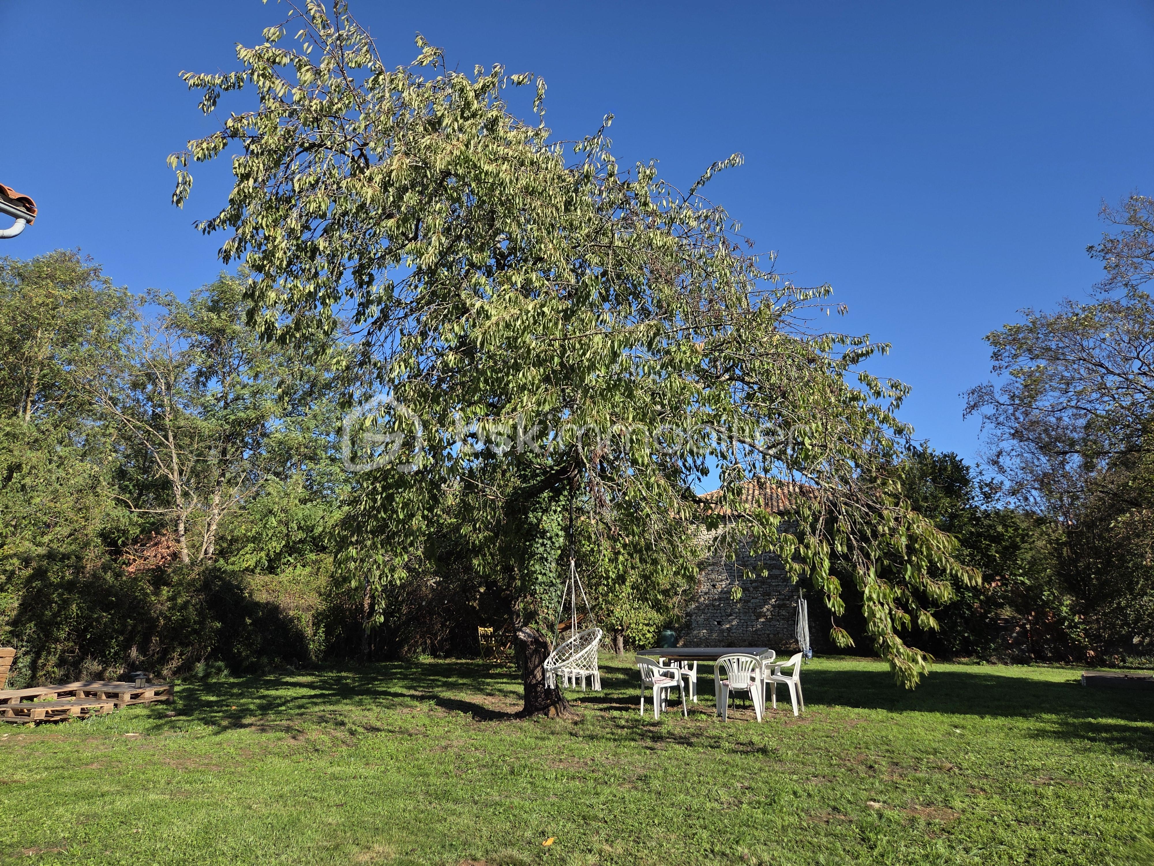 jardin 5.jpg
