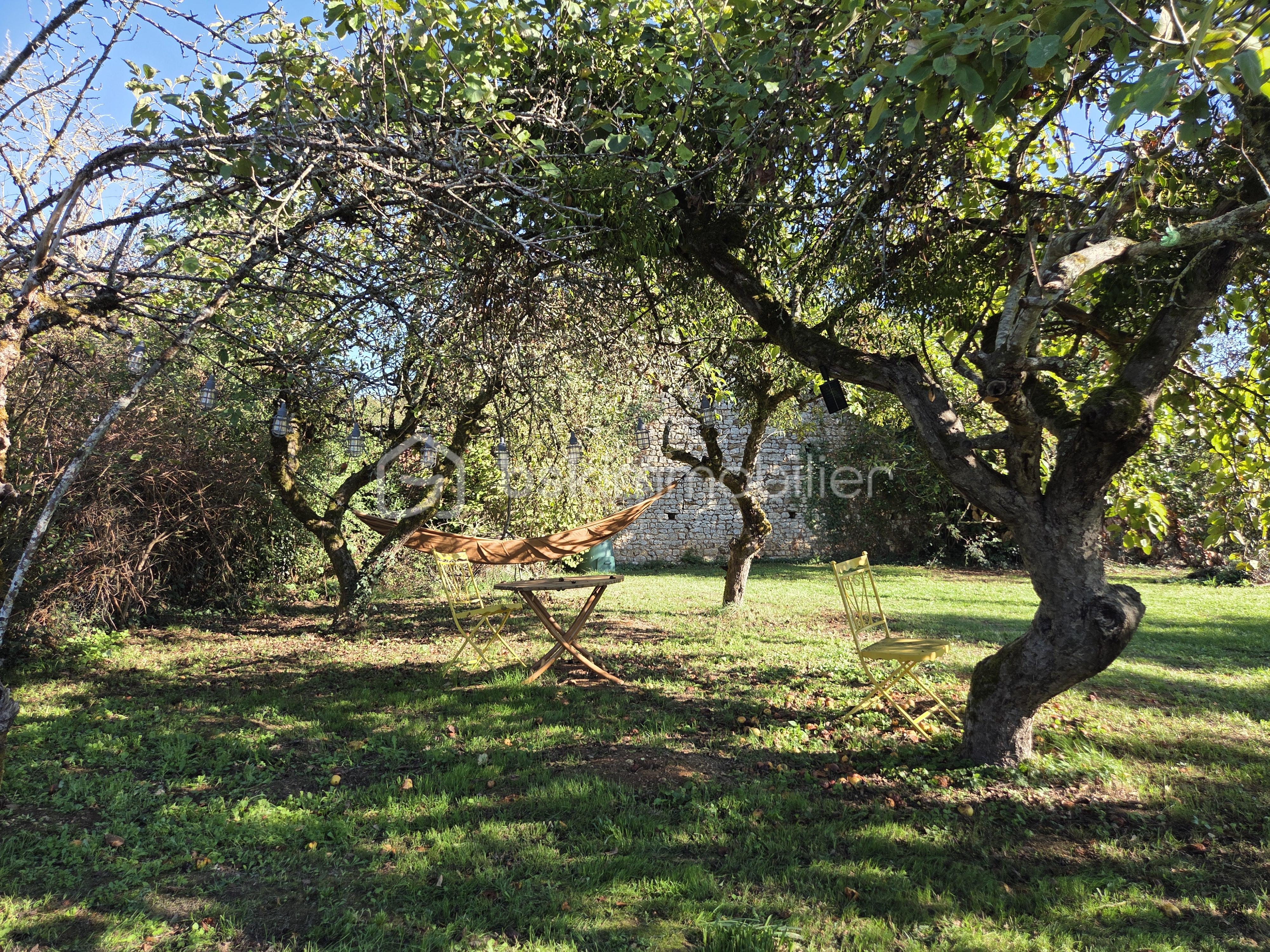 jardin 1.jpg