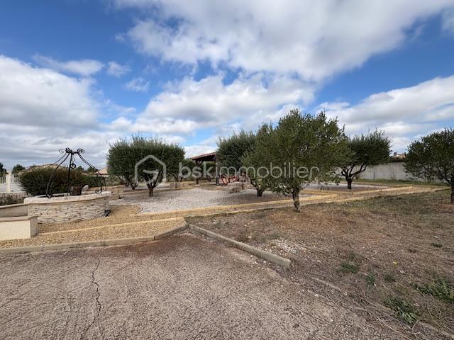 Terrain de 900 m² - IMG_3536.jpg