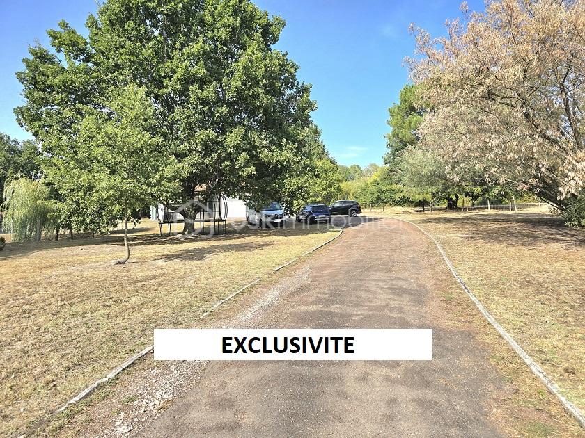 Exclusivité 5.jpg
