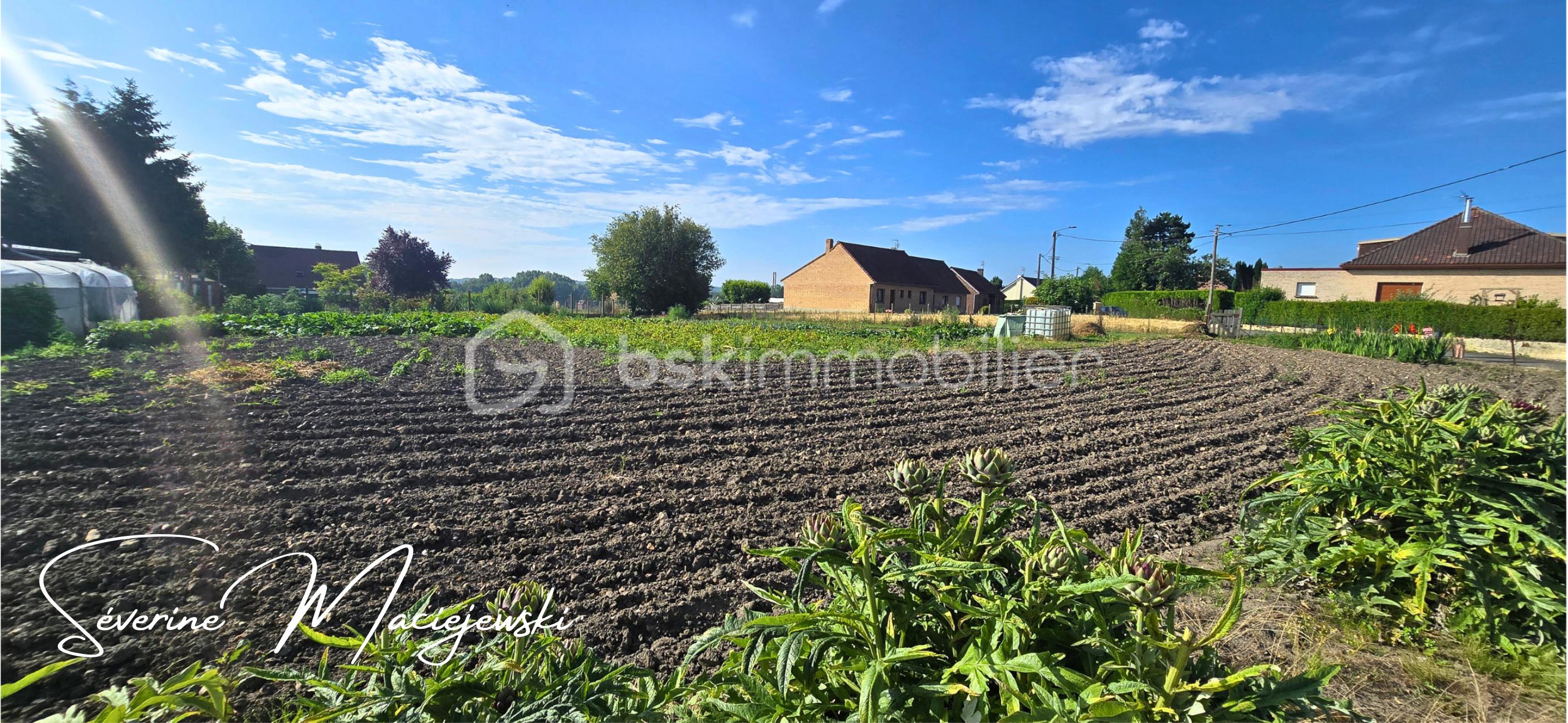 Terrain de 1 000 m² - Séverine Maciejewski (16).png