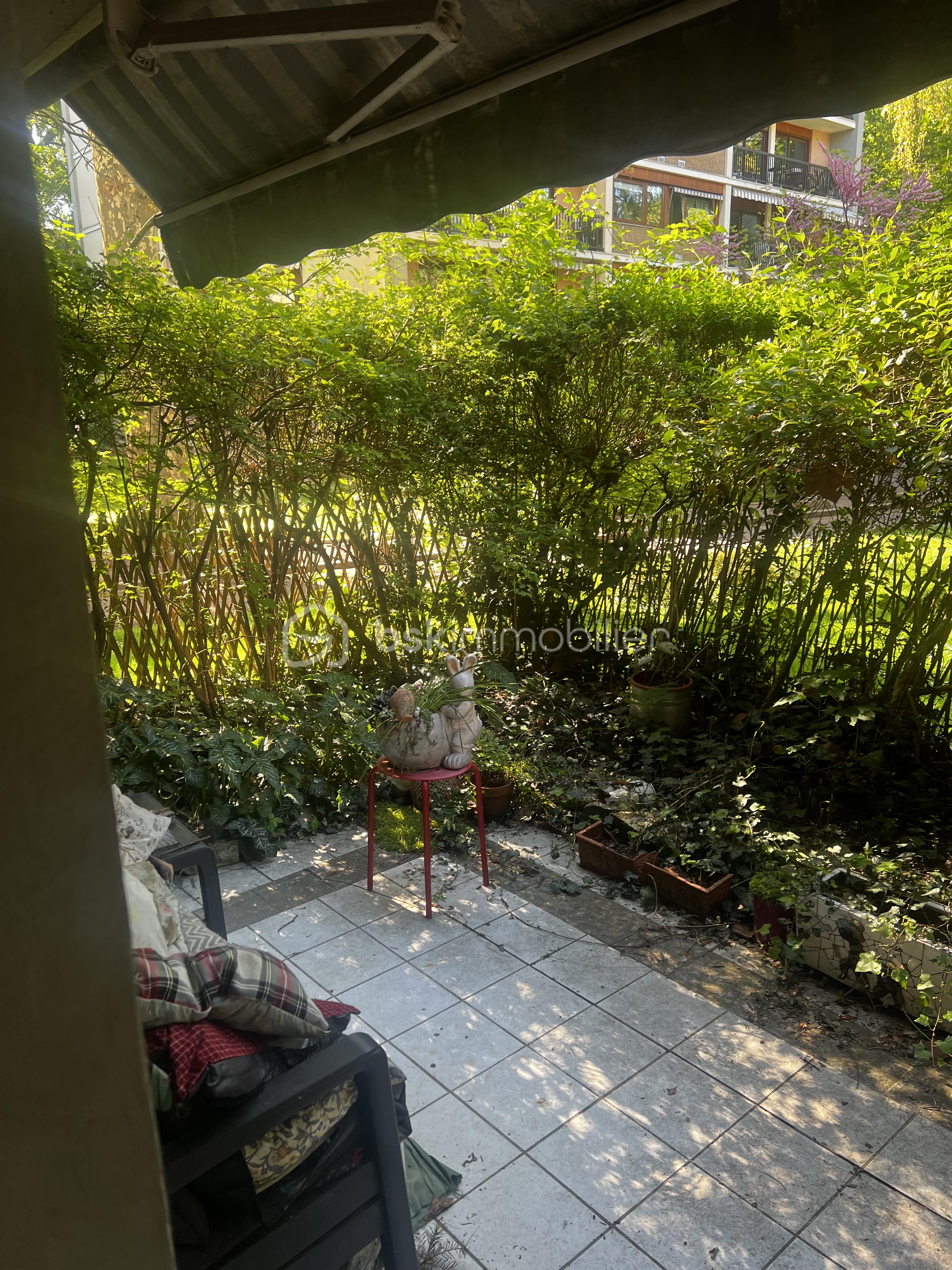 IMG_2247.jpeg