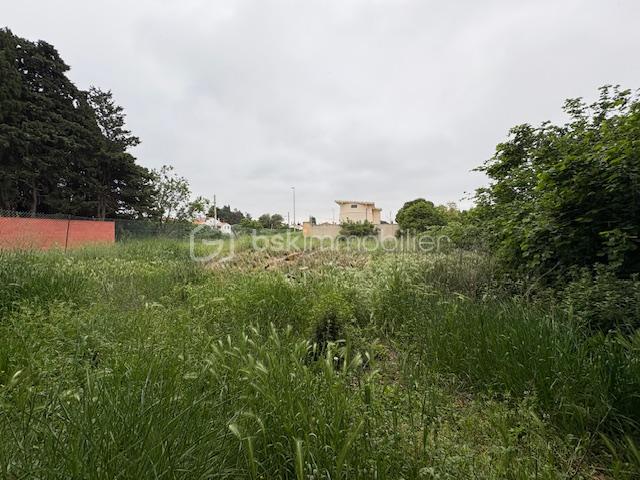 Terrain constructible 4.jpeg