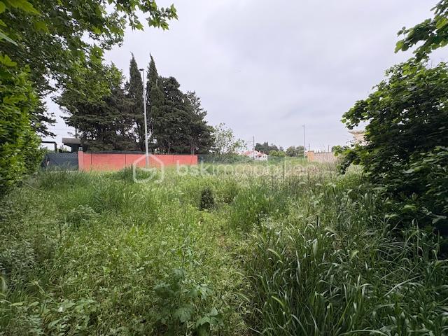 Terrain constructible 3.jpeg