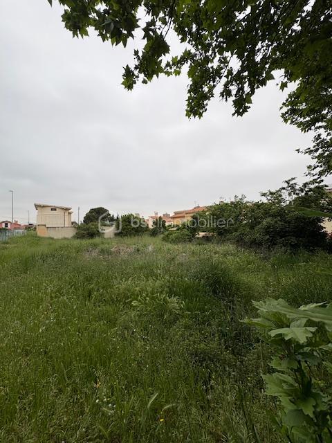 Terrain constructible 6.jpeg