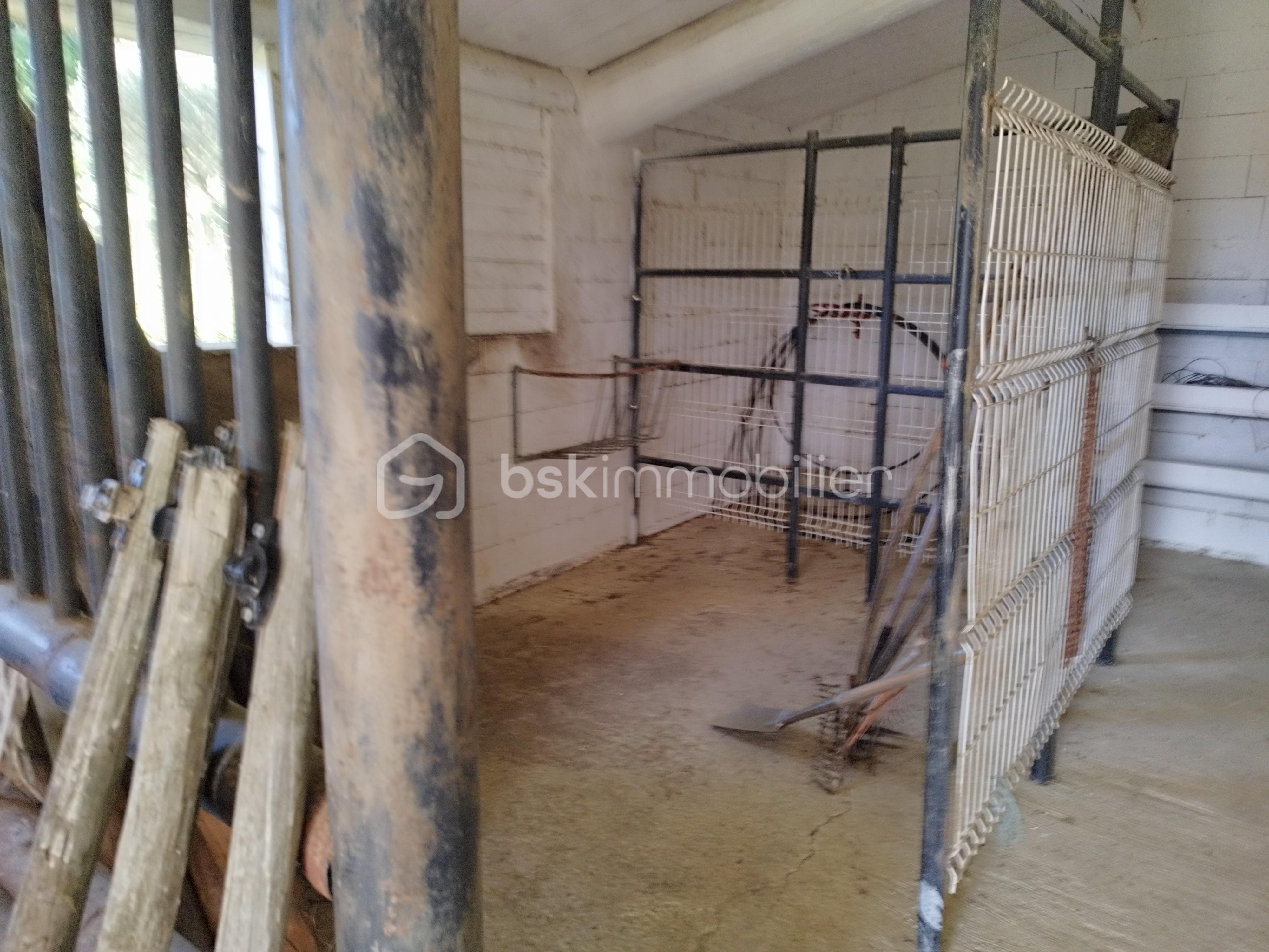 Maison de 402 m² - 1758185092371.jpg