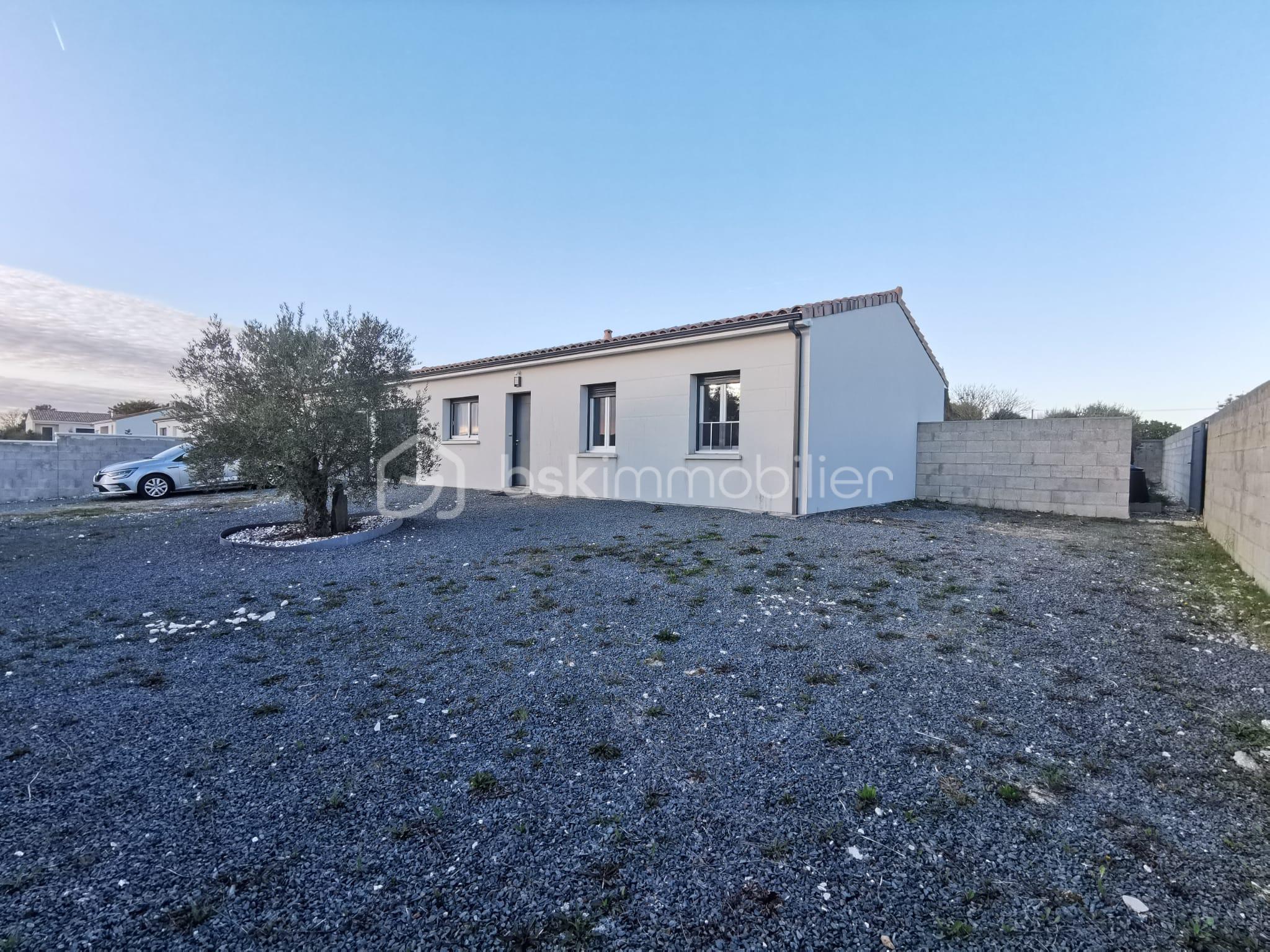 WhatsApp Image 2026-03-17 at 13.52.22 (1).jpeg