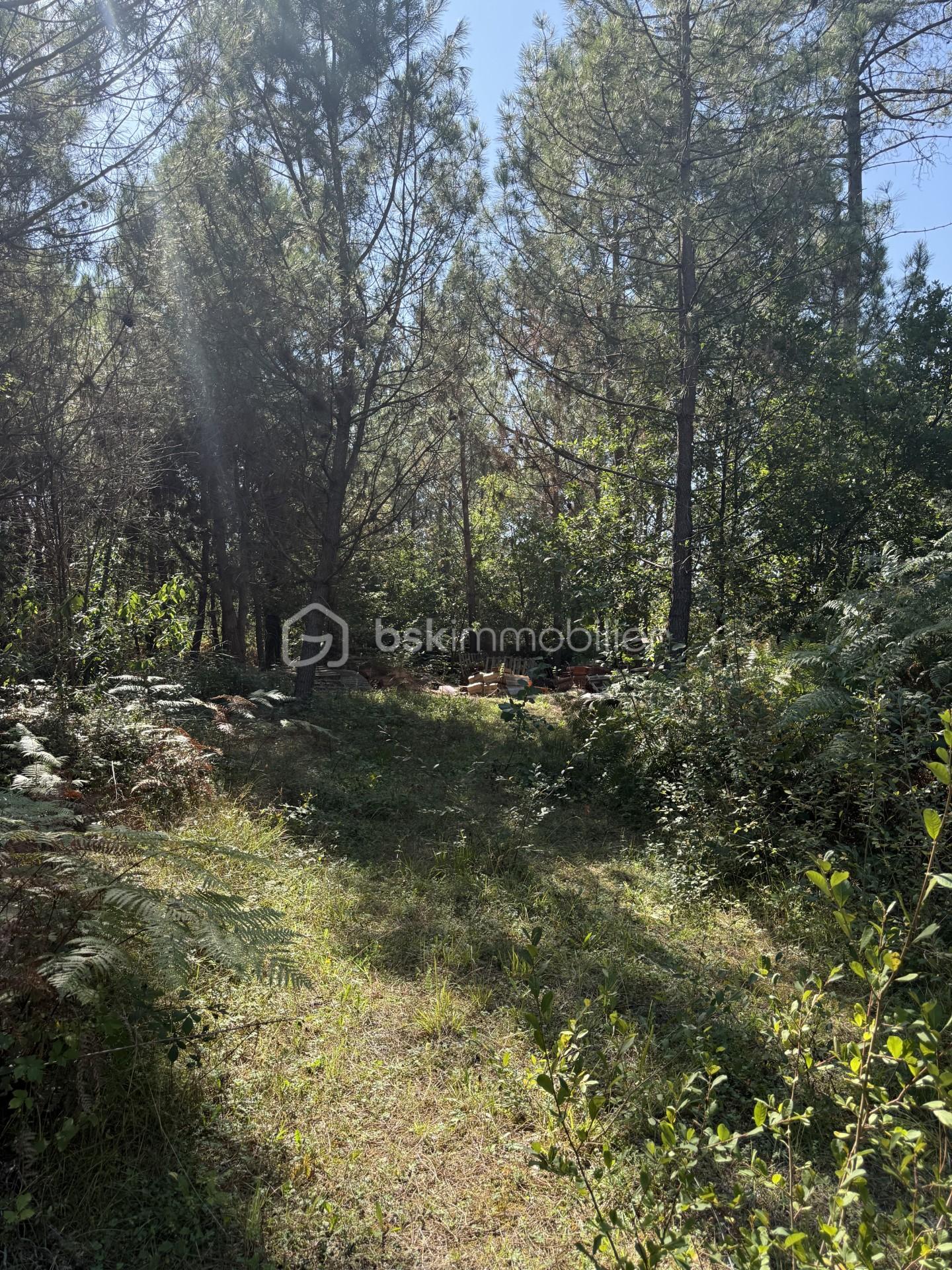 Terrain de 1 458 m² - thumbnail_IMG_1092.jpg