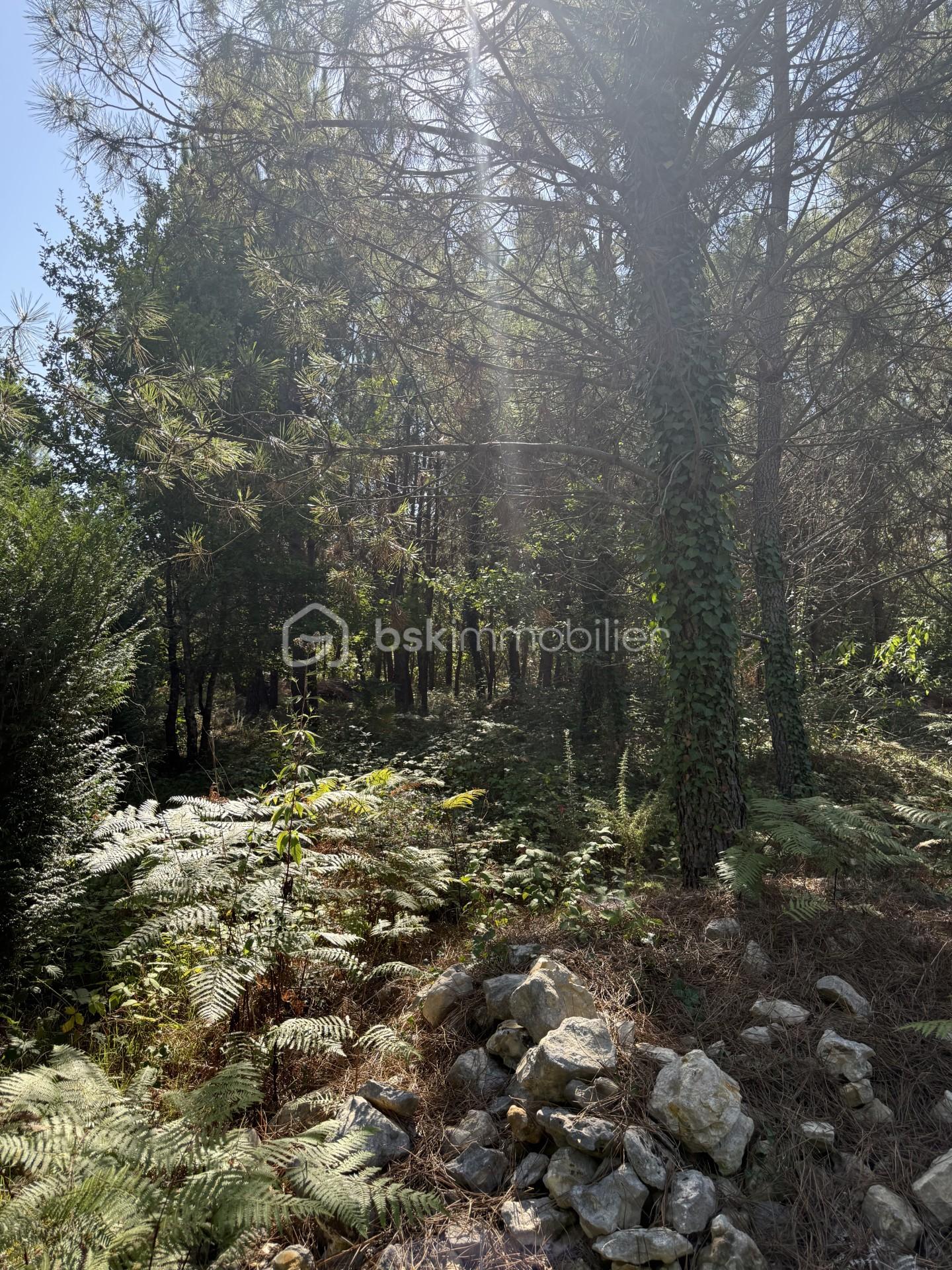Terrain de 1 458 m² - thumbnail_IMG_1091.jpg