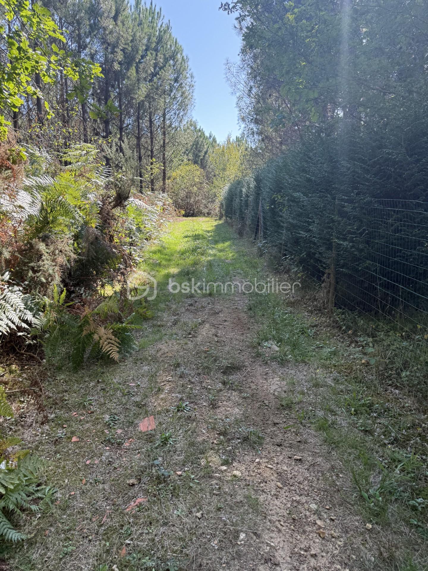 Terrain de 1 458 m² - thumbnail_IMG_1093.jpg