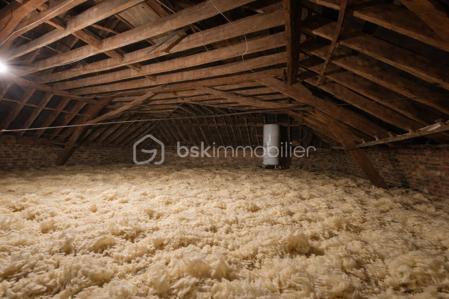 Maison de village de 248 m² - Grenier 2.PNG