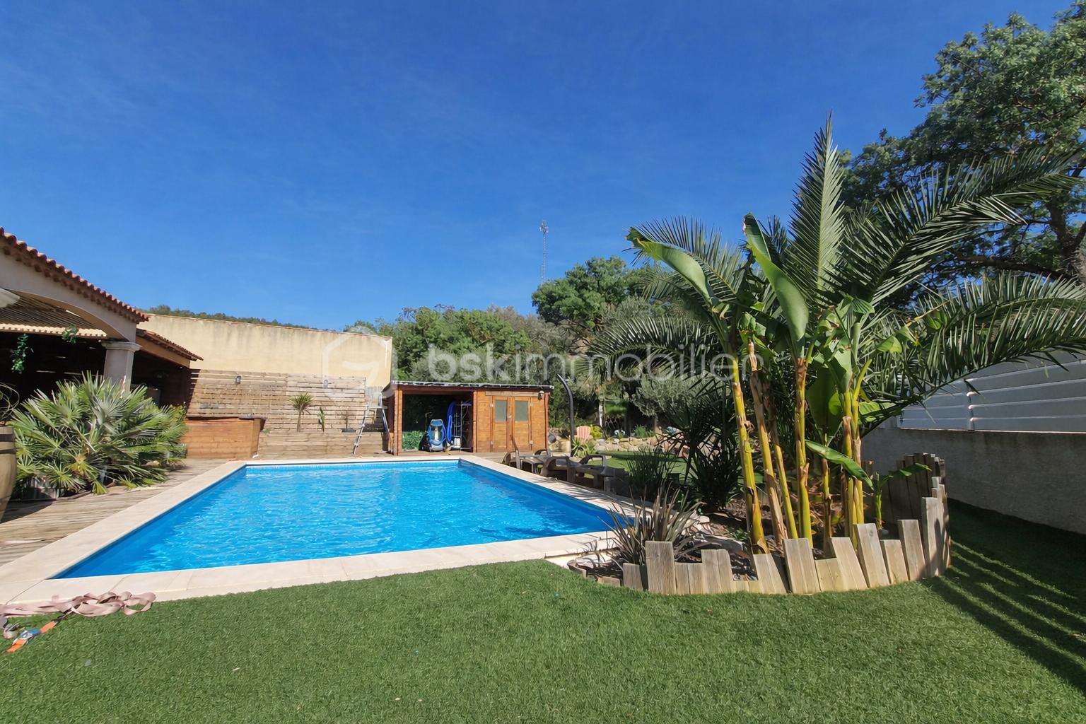 Piscine bleue et terrasse ensoleillée.png