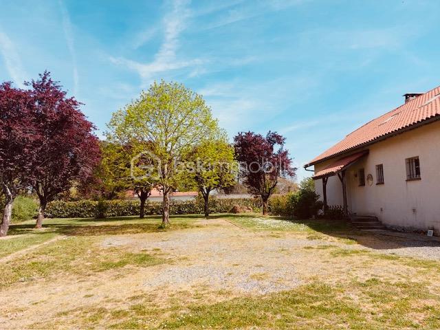 3dd6db0e-254c-4342-a070-04fea12a9f3b (1).jpg