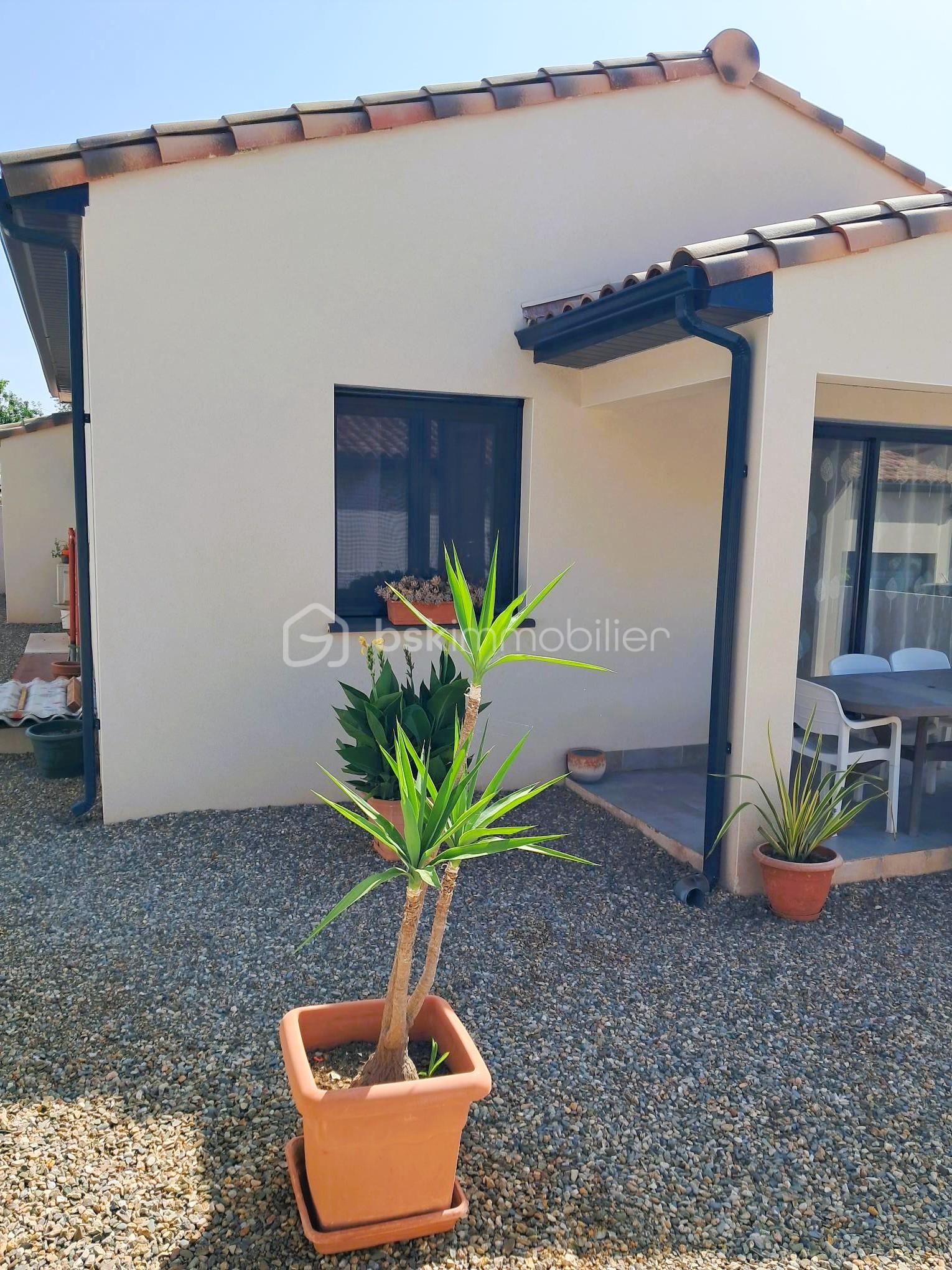 Maison traditionnelle de 59,42 m² - 15 - terrain.jpg