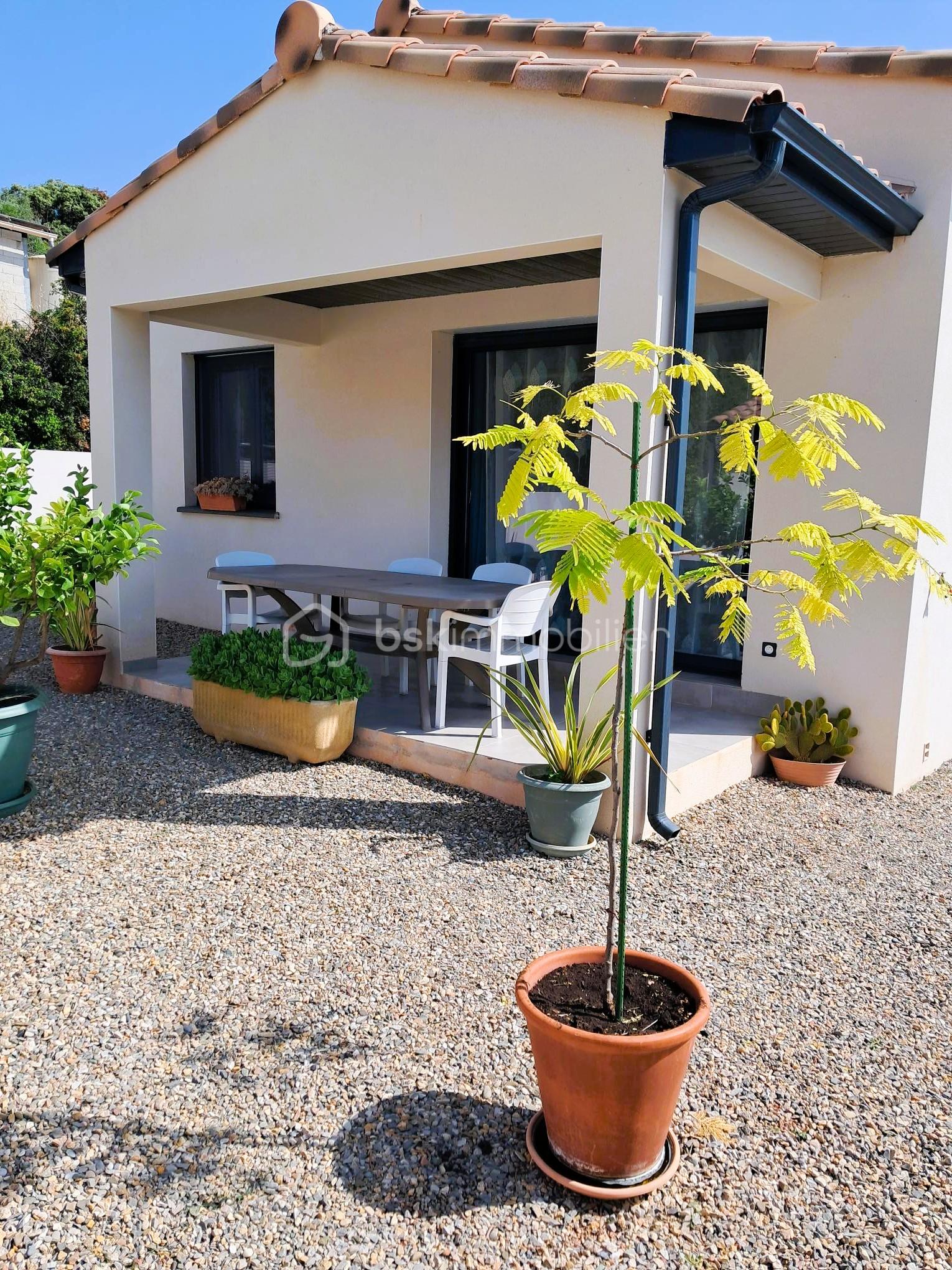 Maison traditionnelle de 59,42 m² - 16 - terrain.jpg