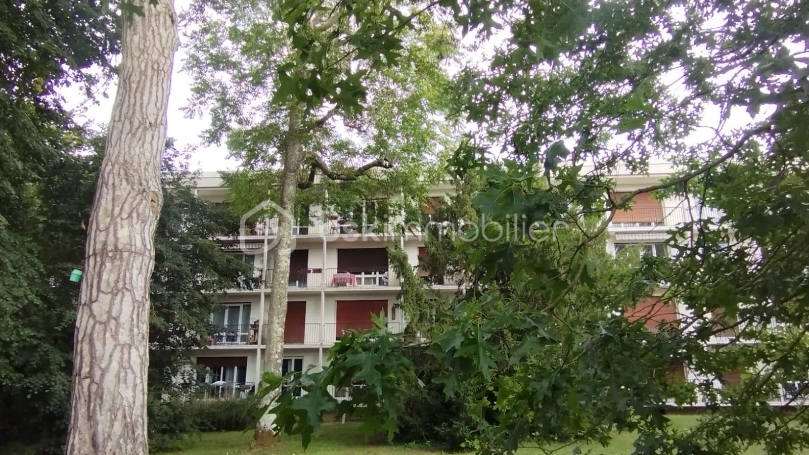 Appartement de 55 m² - WhatsApp Image 2025-08-01 à 20.48.53_78fe8281.jpg