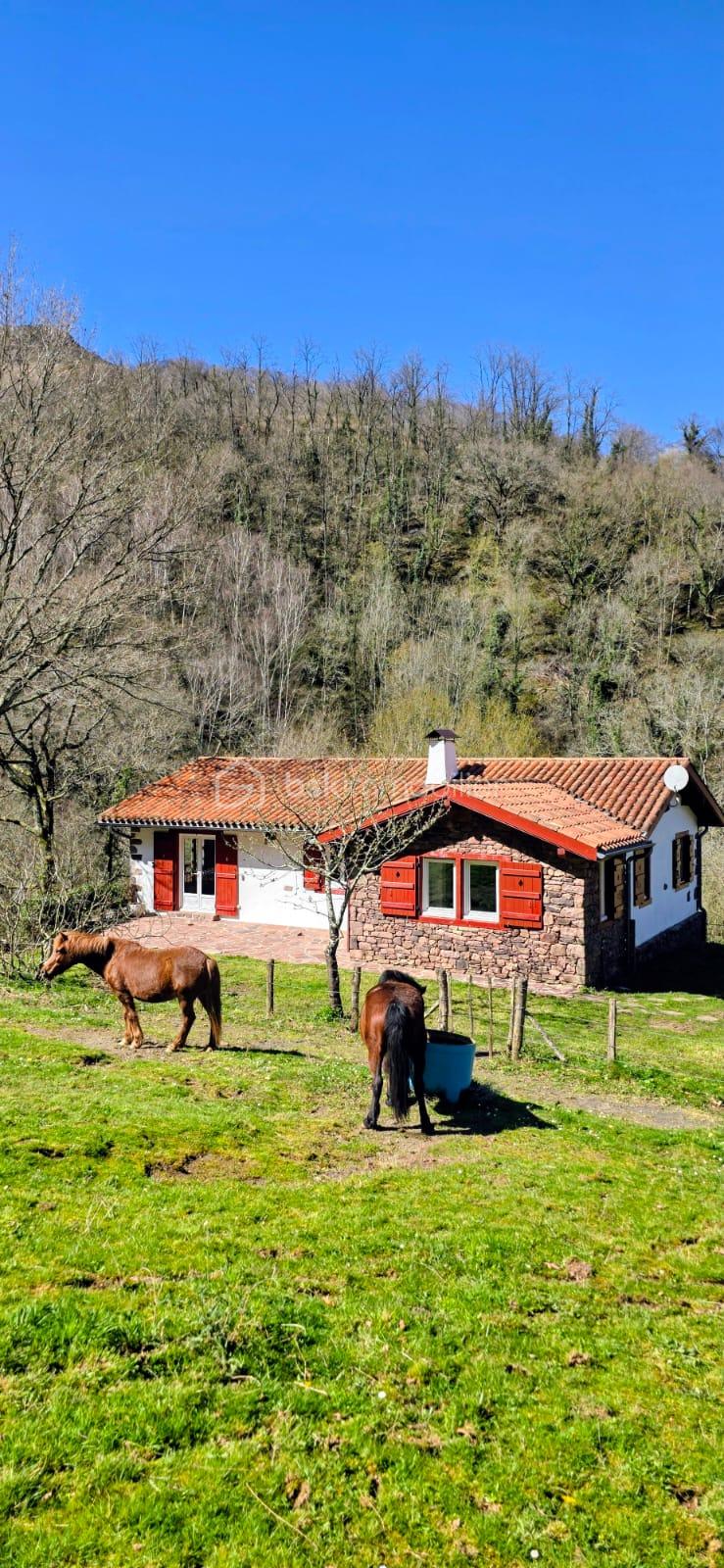 PHOTO-2026-04-01-21-42-49 (1).jpg