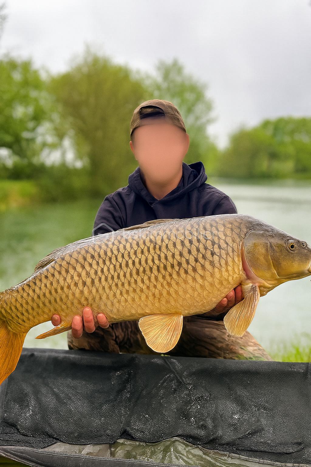 Terrain de loisirs de 10 885 m² - Copilot_20251202_133654.png