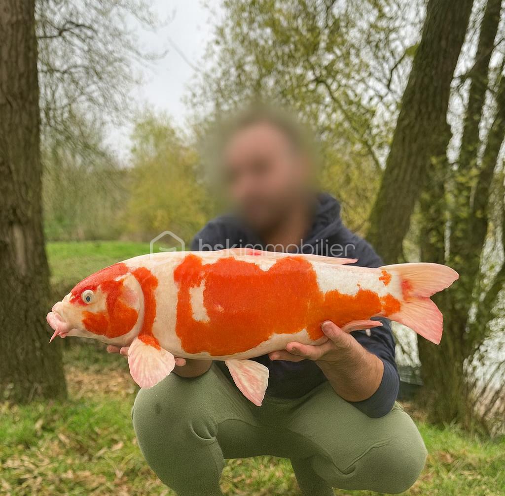 Terrain de loisirs de 10 885 m² - Copilot_20251202_135244.png