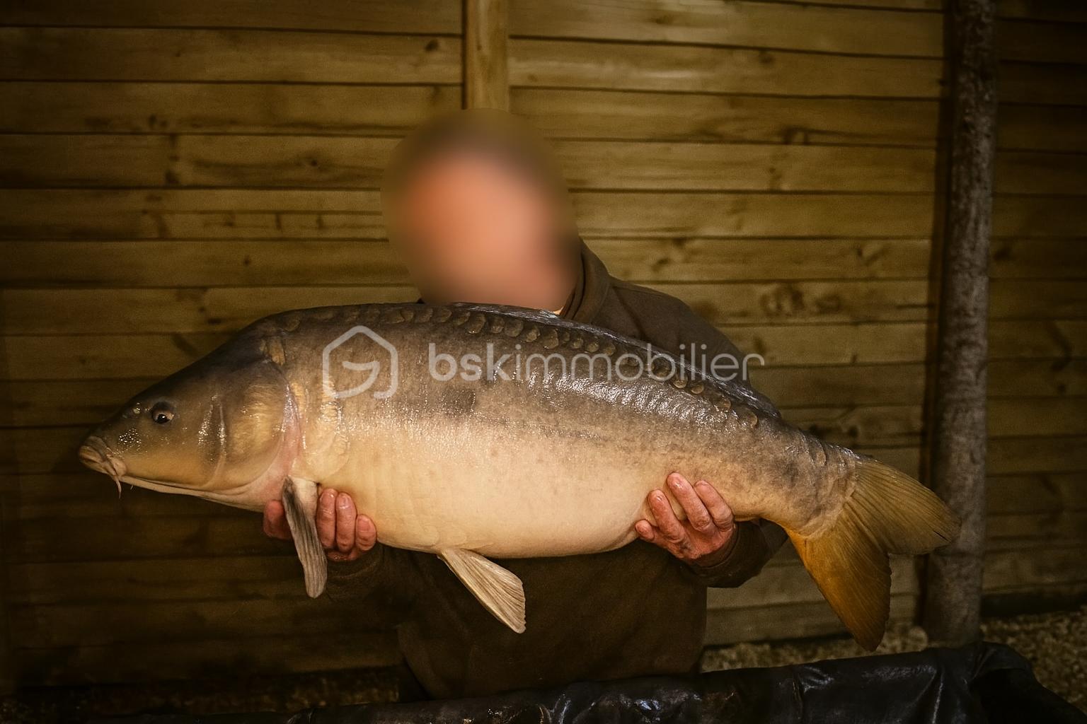 Terrain de loisirs de 10 885 m² - tof 18.png