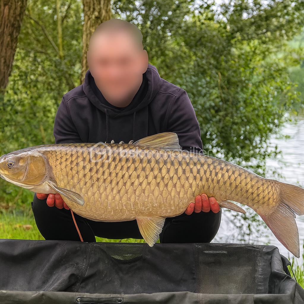 Terrain de loisirs de 10 885 m² - Copilot_20251202_132828.png