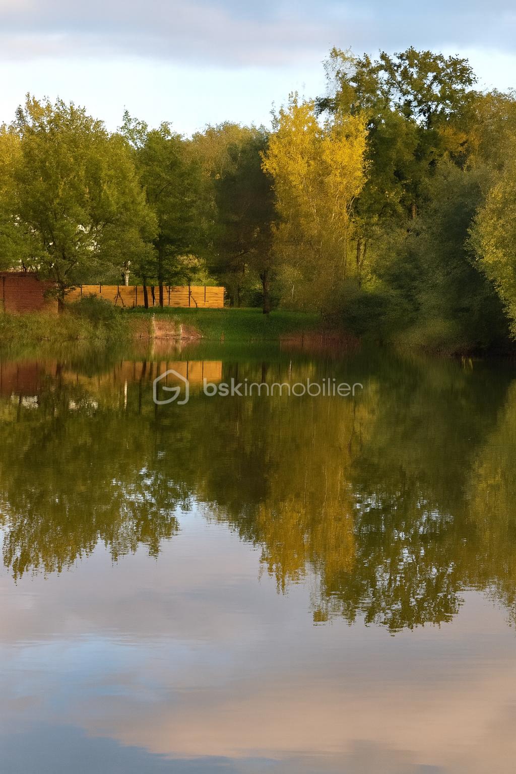 Terrain de loisirs de 10 885 m² - tof étang.png