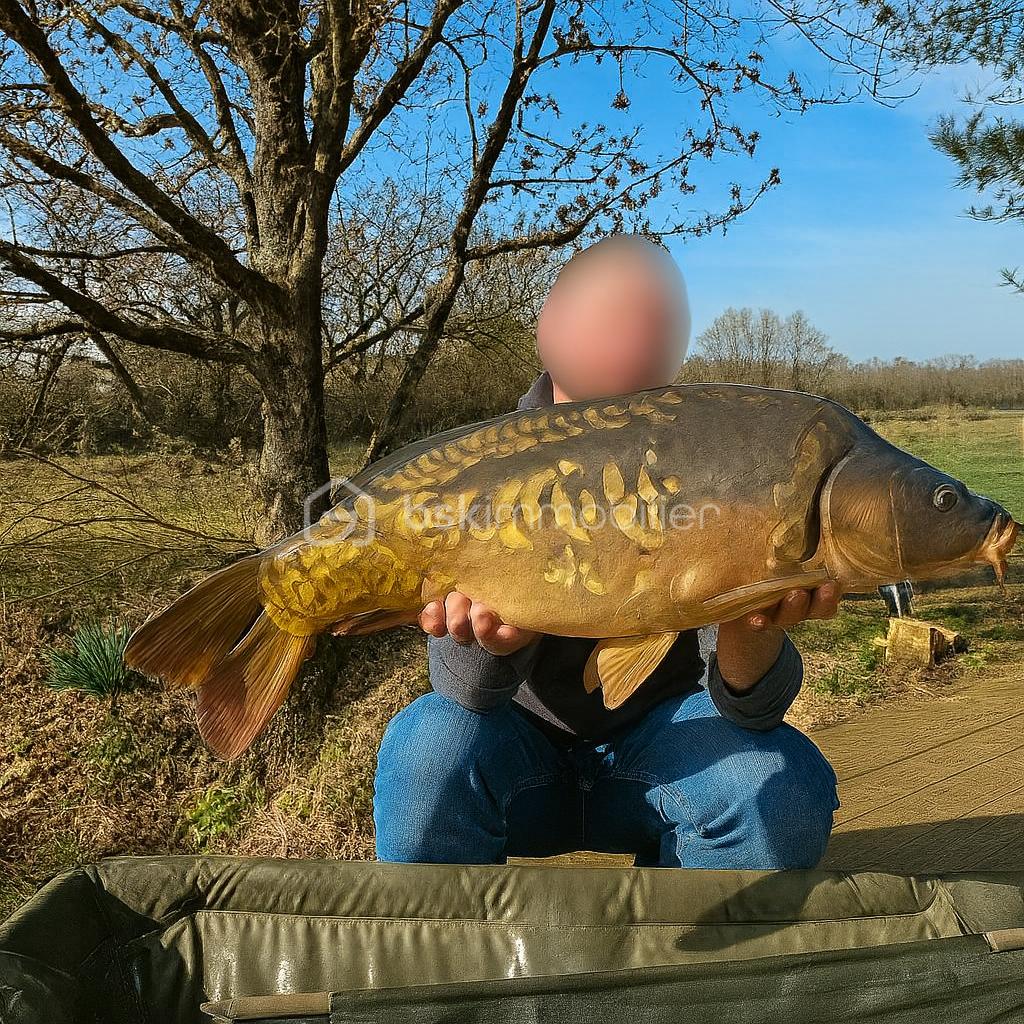 Terrain de loisirs de 10 885 m² - Copilot_20251202_134008.png