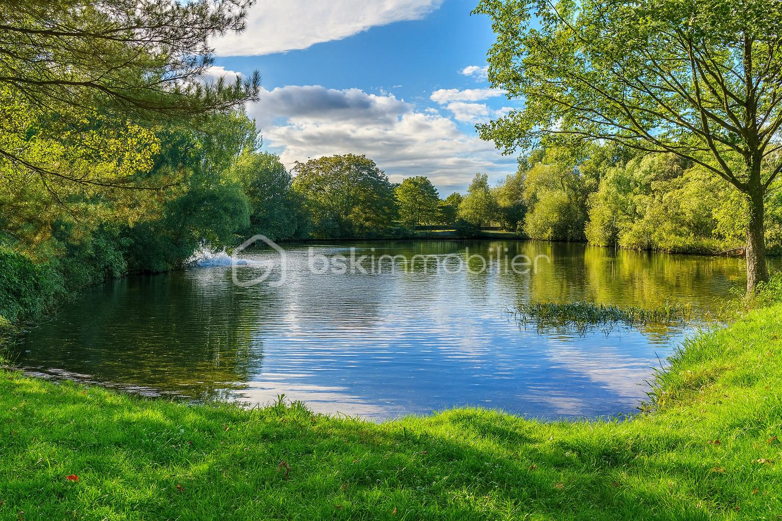 Terrain de loisirs de 10 885 m²