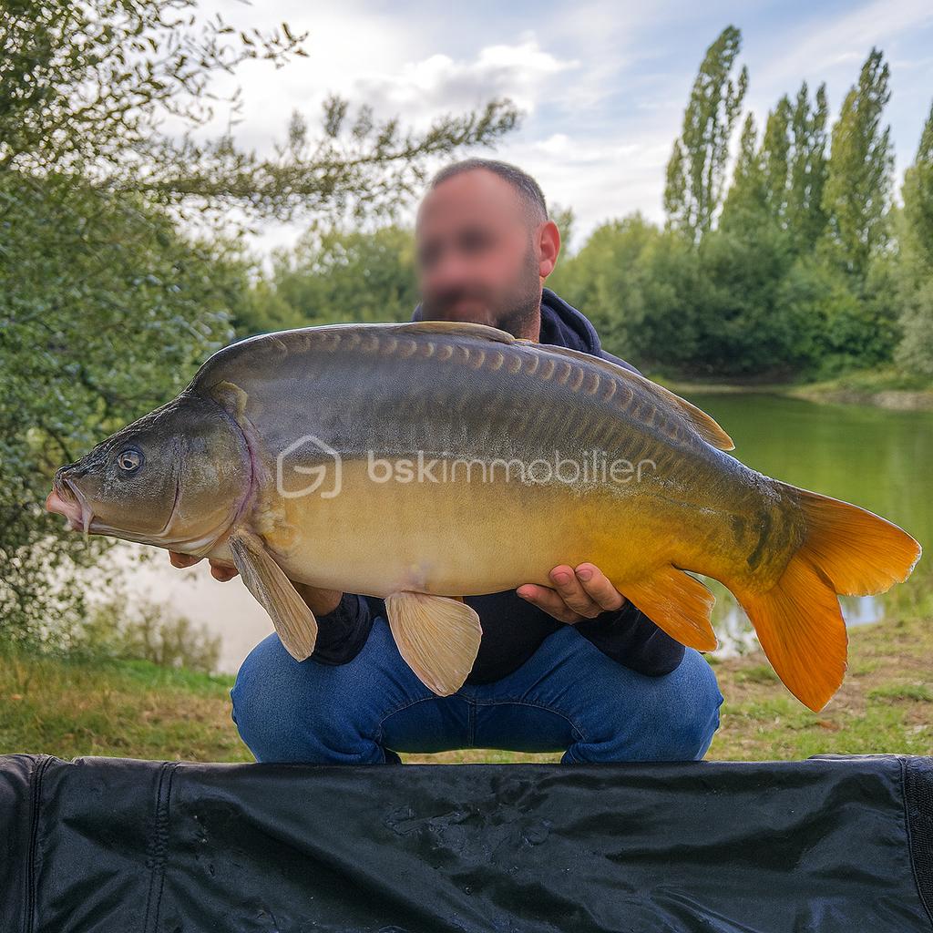 Terrain de loisirs de 10 885 m² - tof 15.png