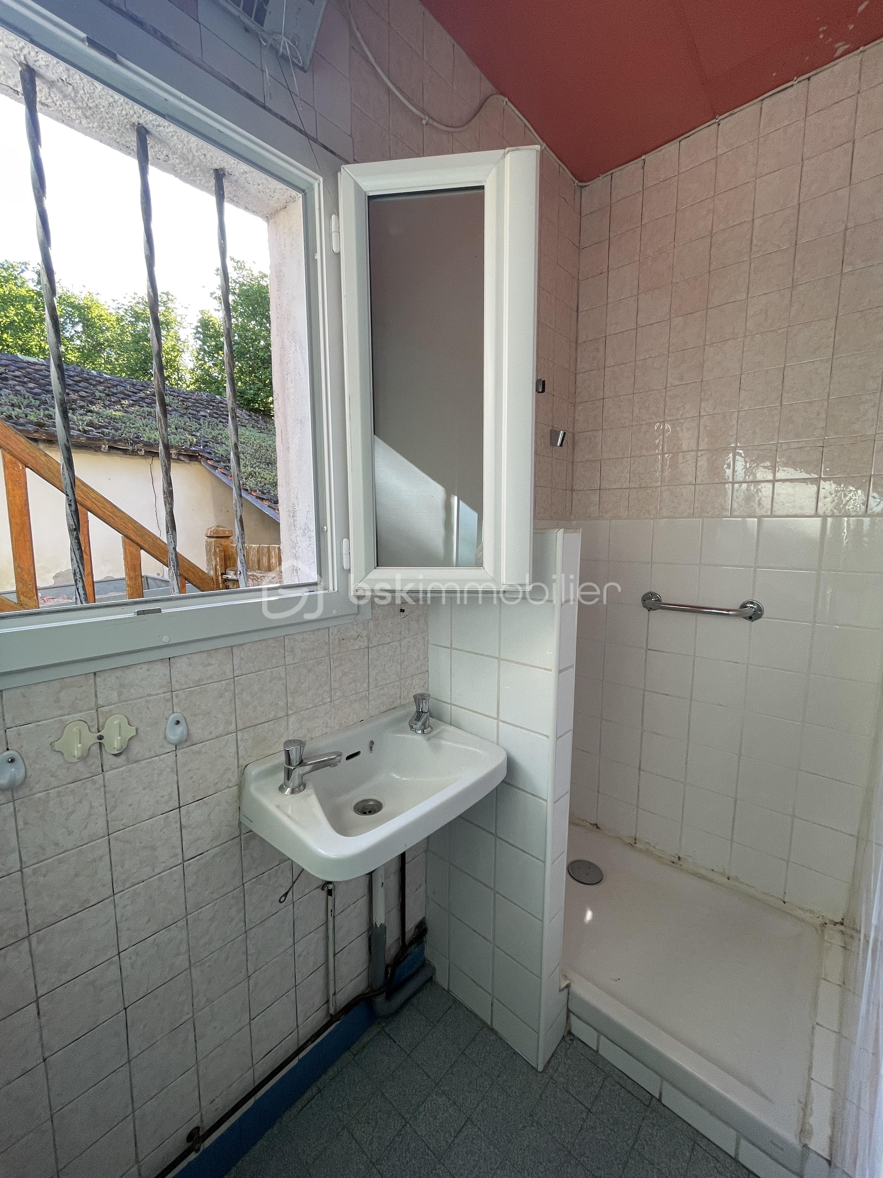 5 - Salle d'eau.JPEG