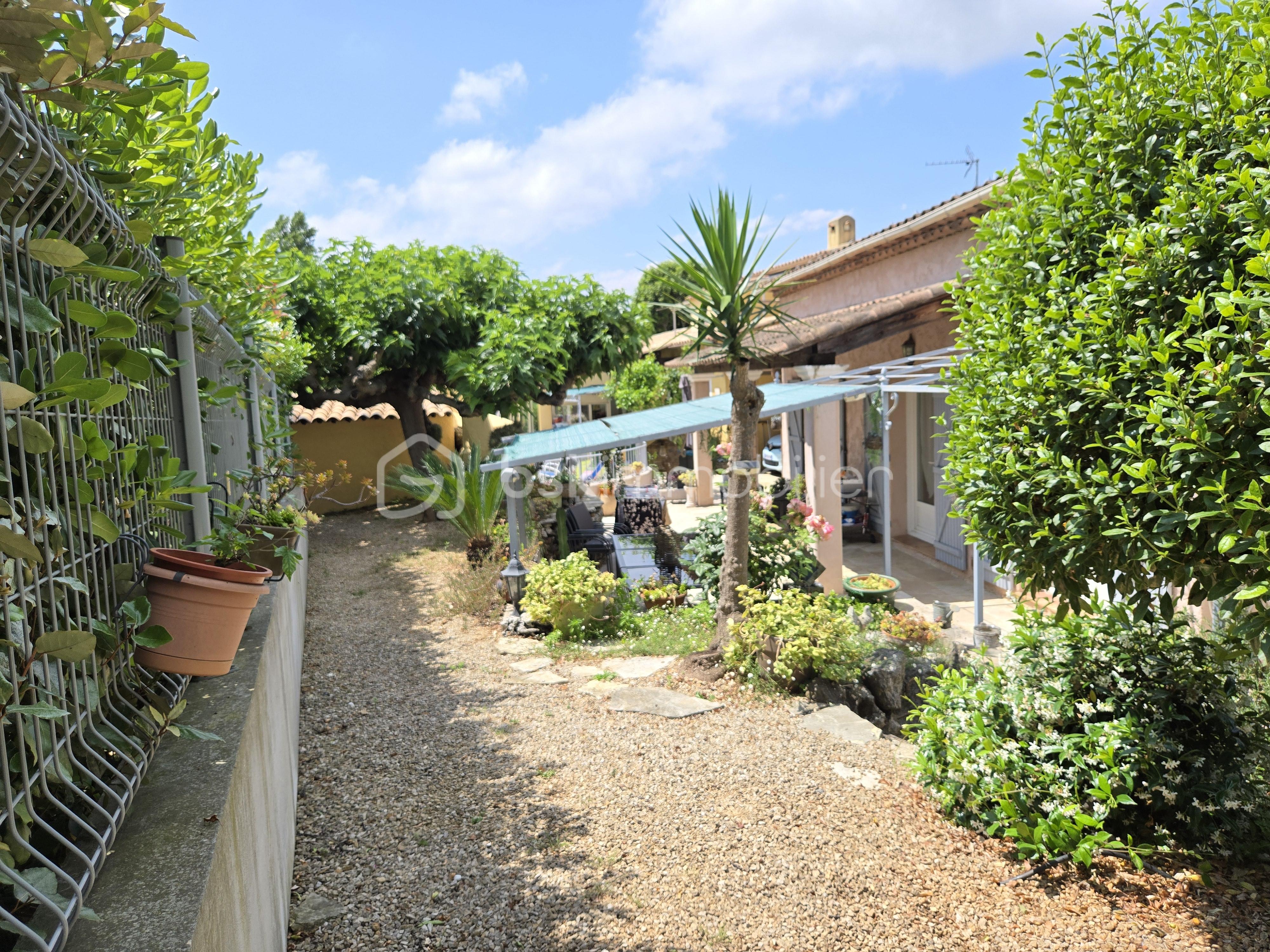 jardin (8).jpg