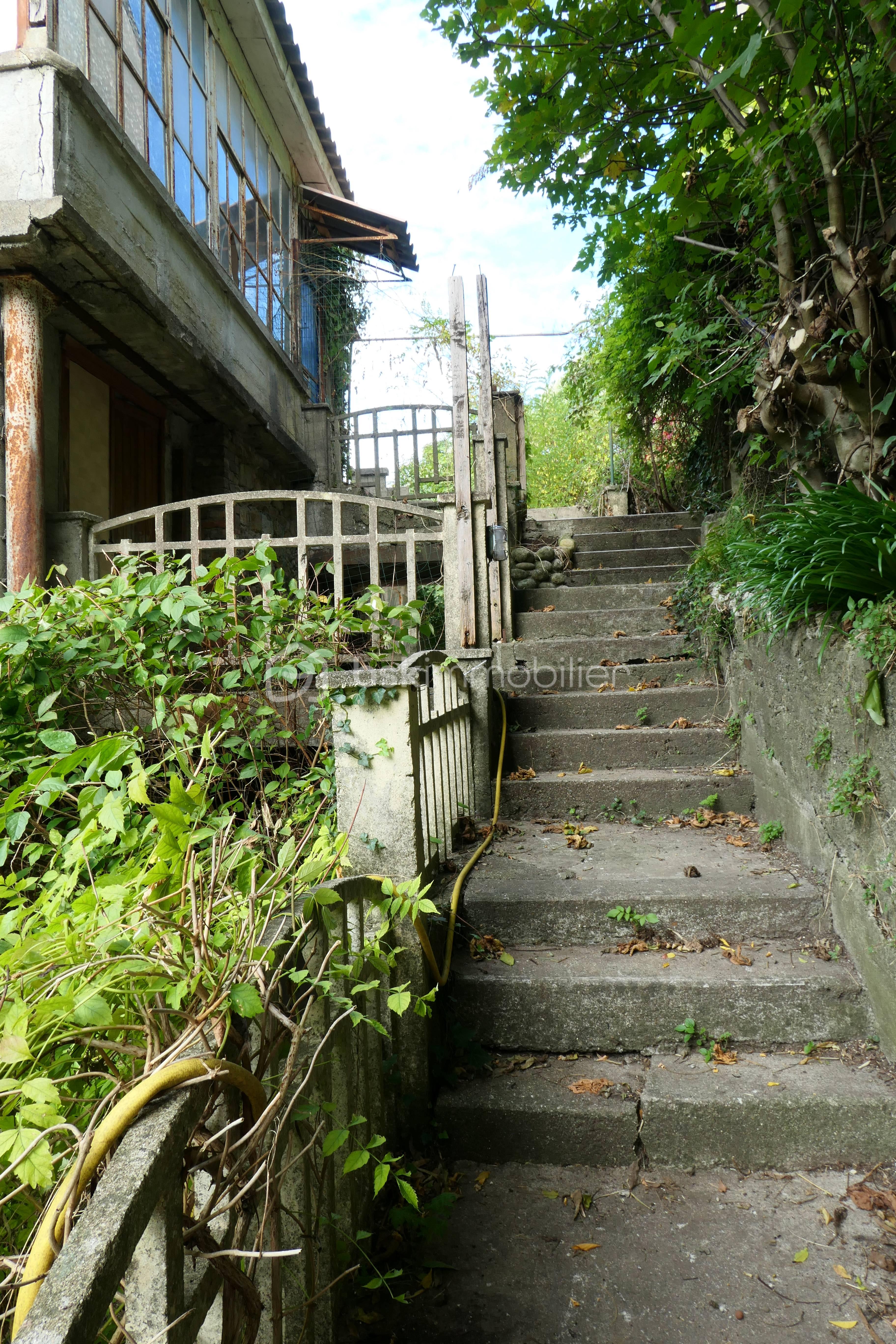 P1002429.JPG