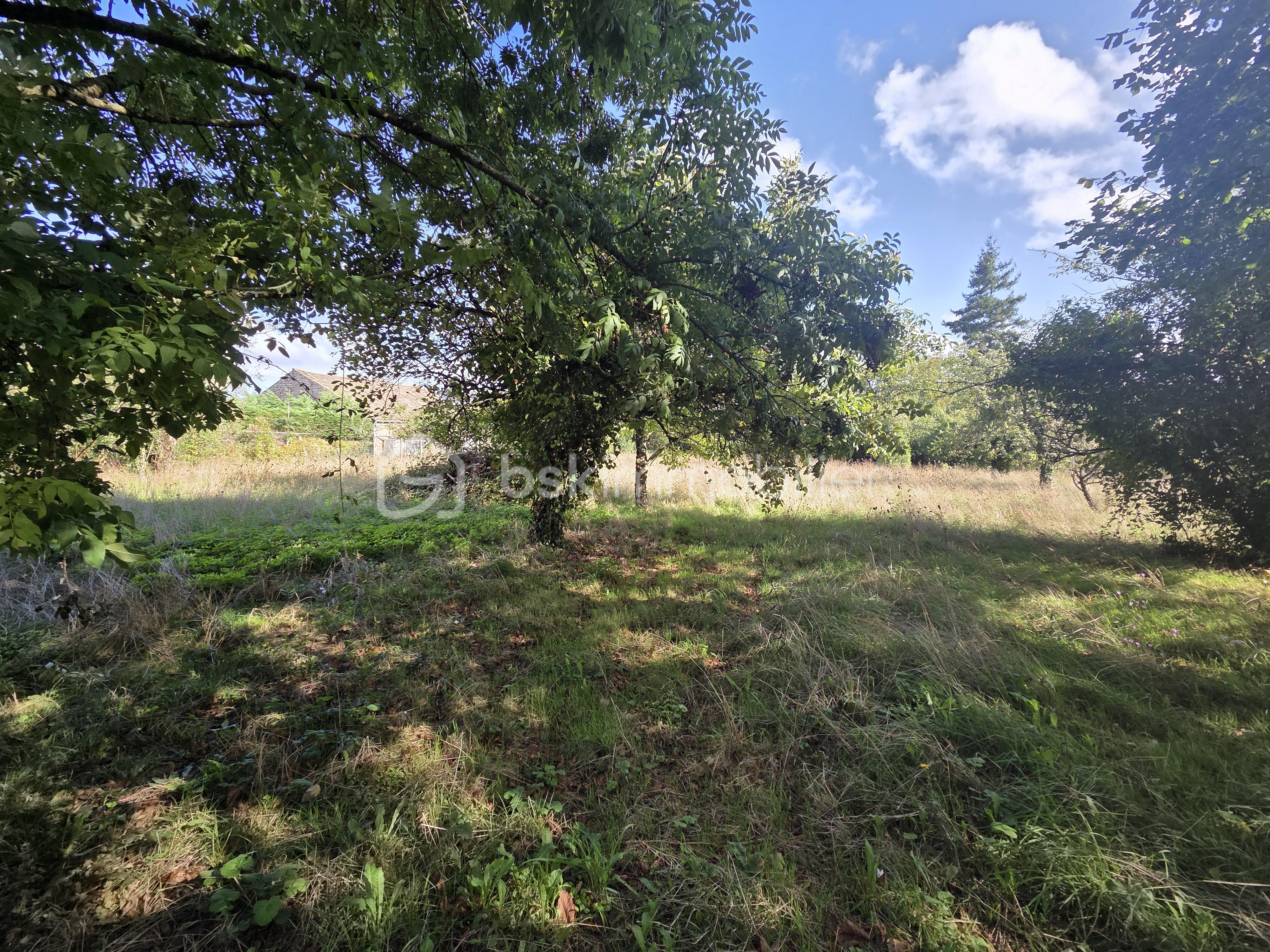 Maison de 175 m² - JARDIN 1.jpg