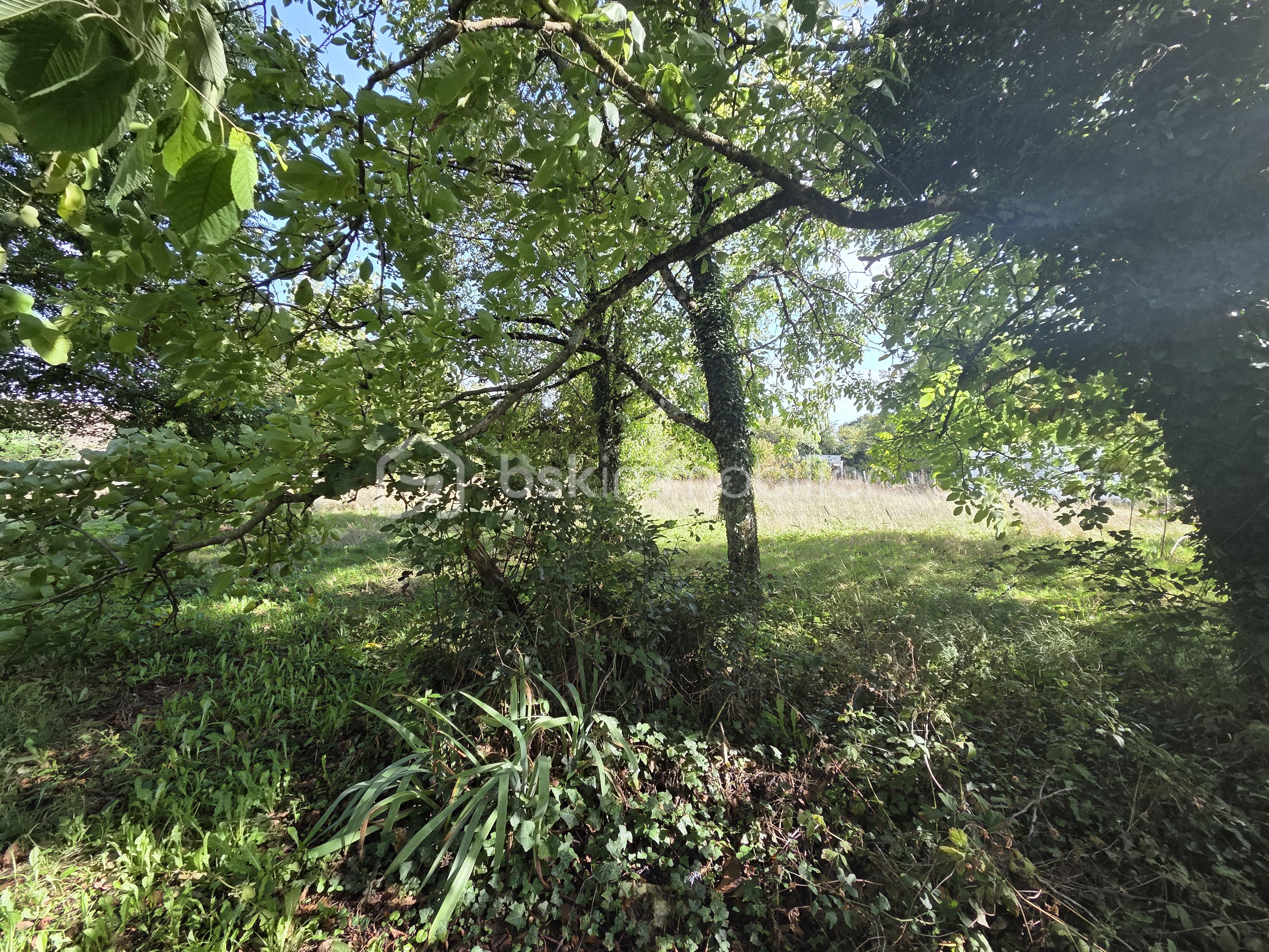 Maison de 175 m² - JARDIN.jpg