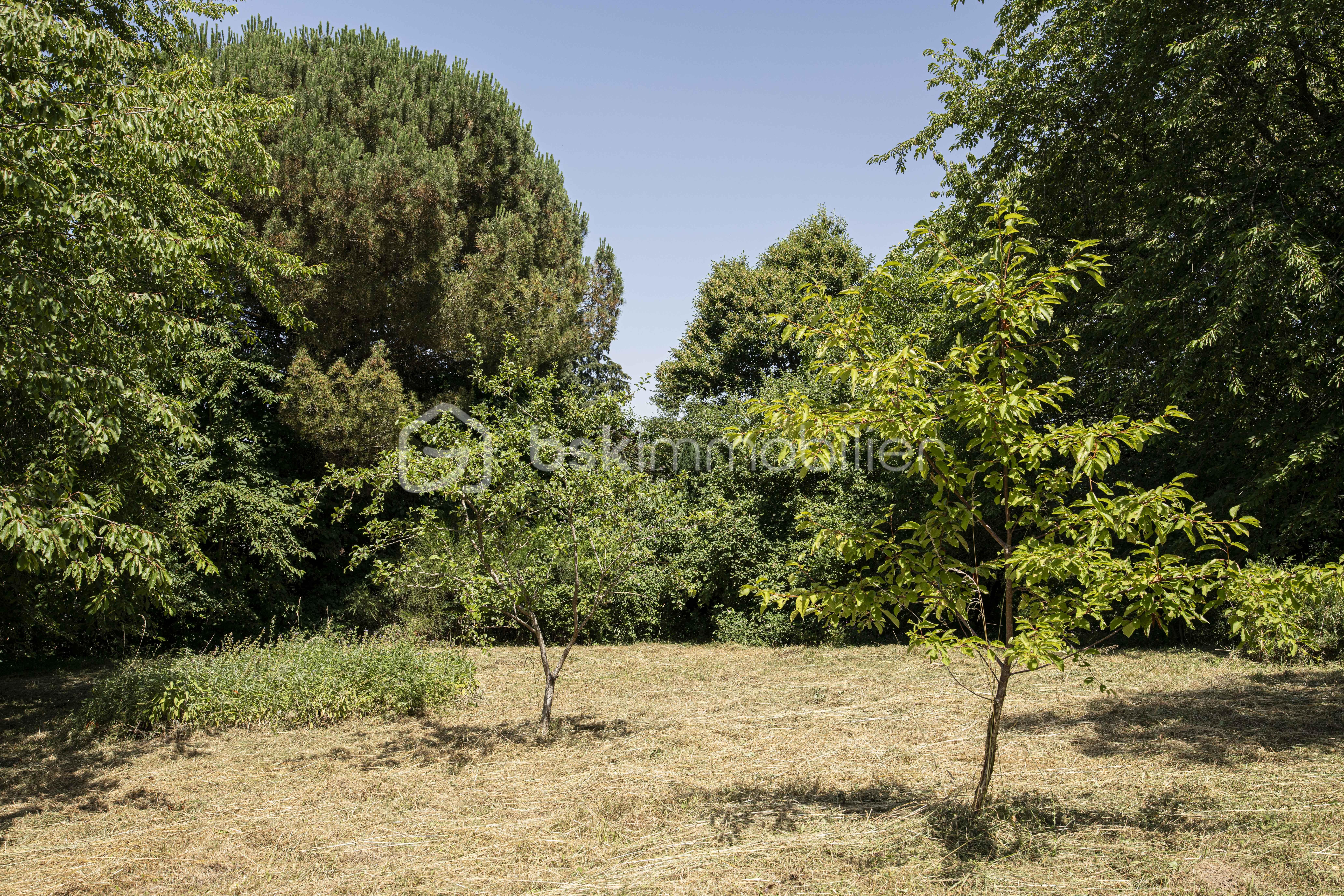 AGN_9518.jpg