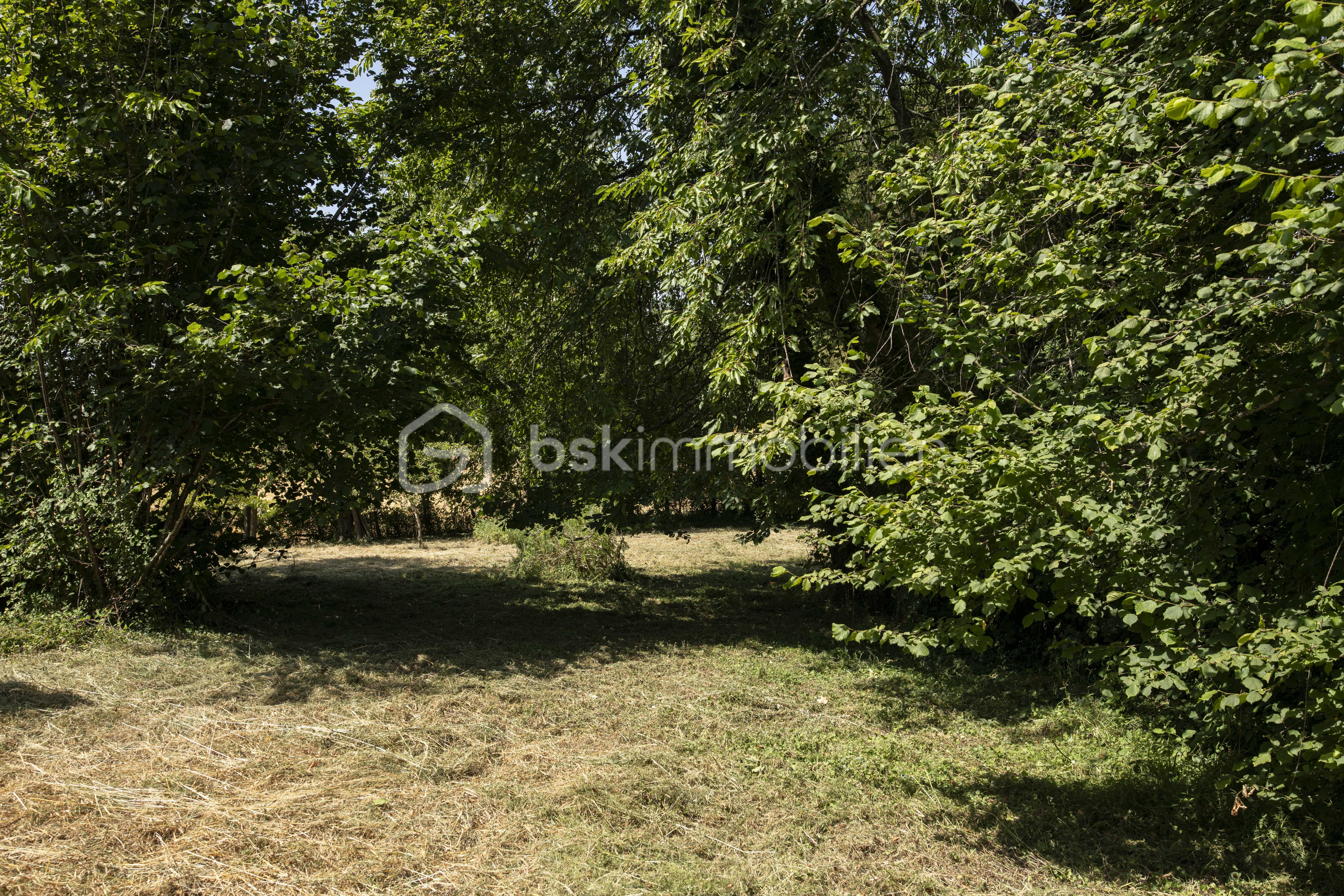 AGN_9513.jpg