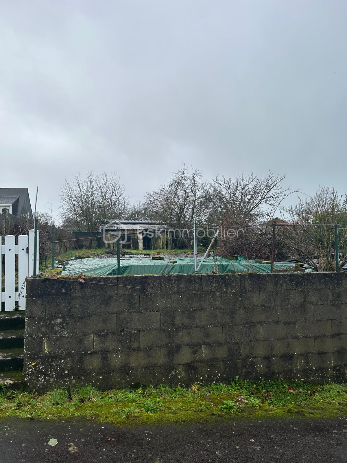 WhatsApp Image 2026-01-23 at 21.51.41 (4).jpeg